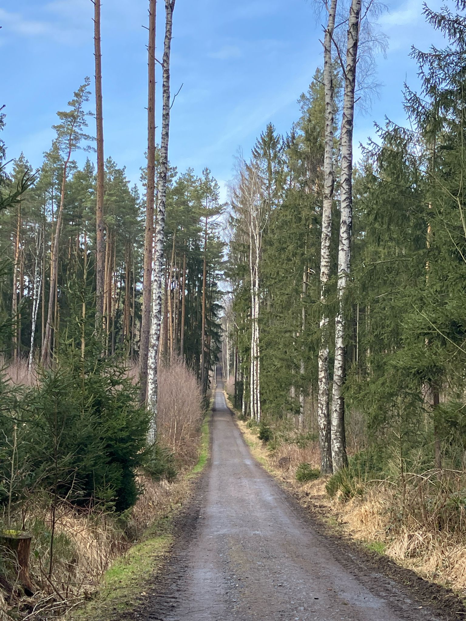 Sieht bissl wie "Frühling"
