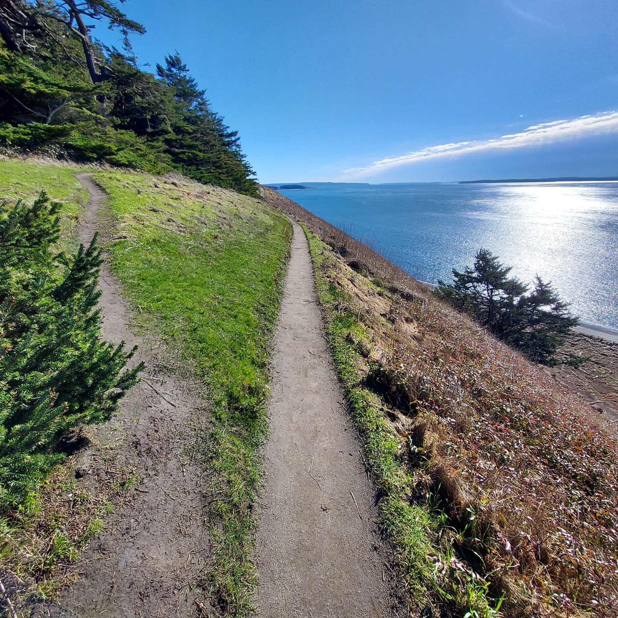 Two dirt trails on a sunny grassy hillside overlooking a sparkling blue sea. - Ebey's Landing State Park loop from Pratt Preserve
