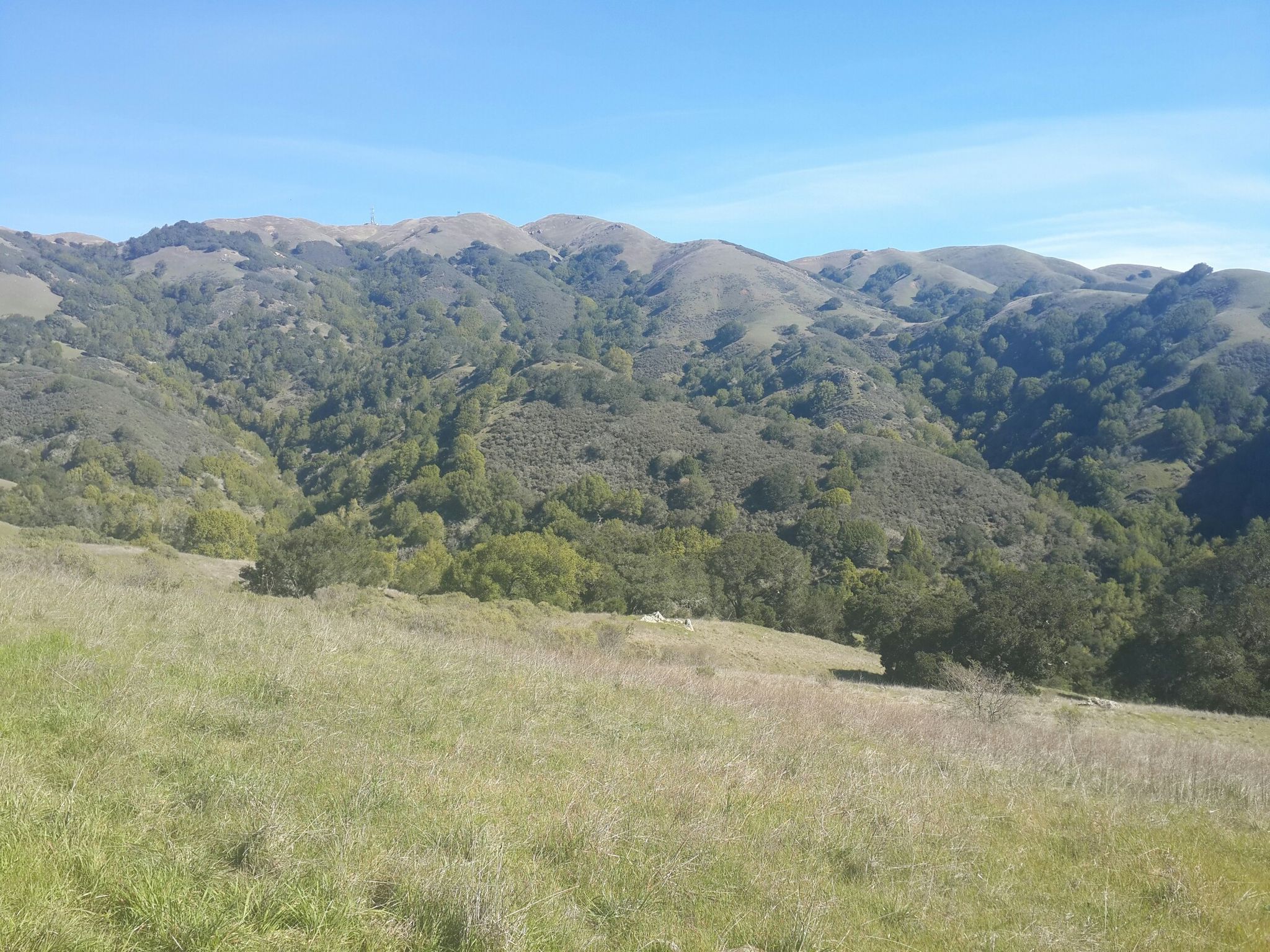 Wide view of rolling green hills and valleys covered in trees. - Big Rock Ridge Trail
