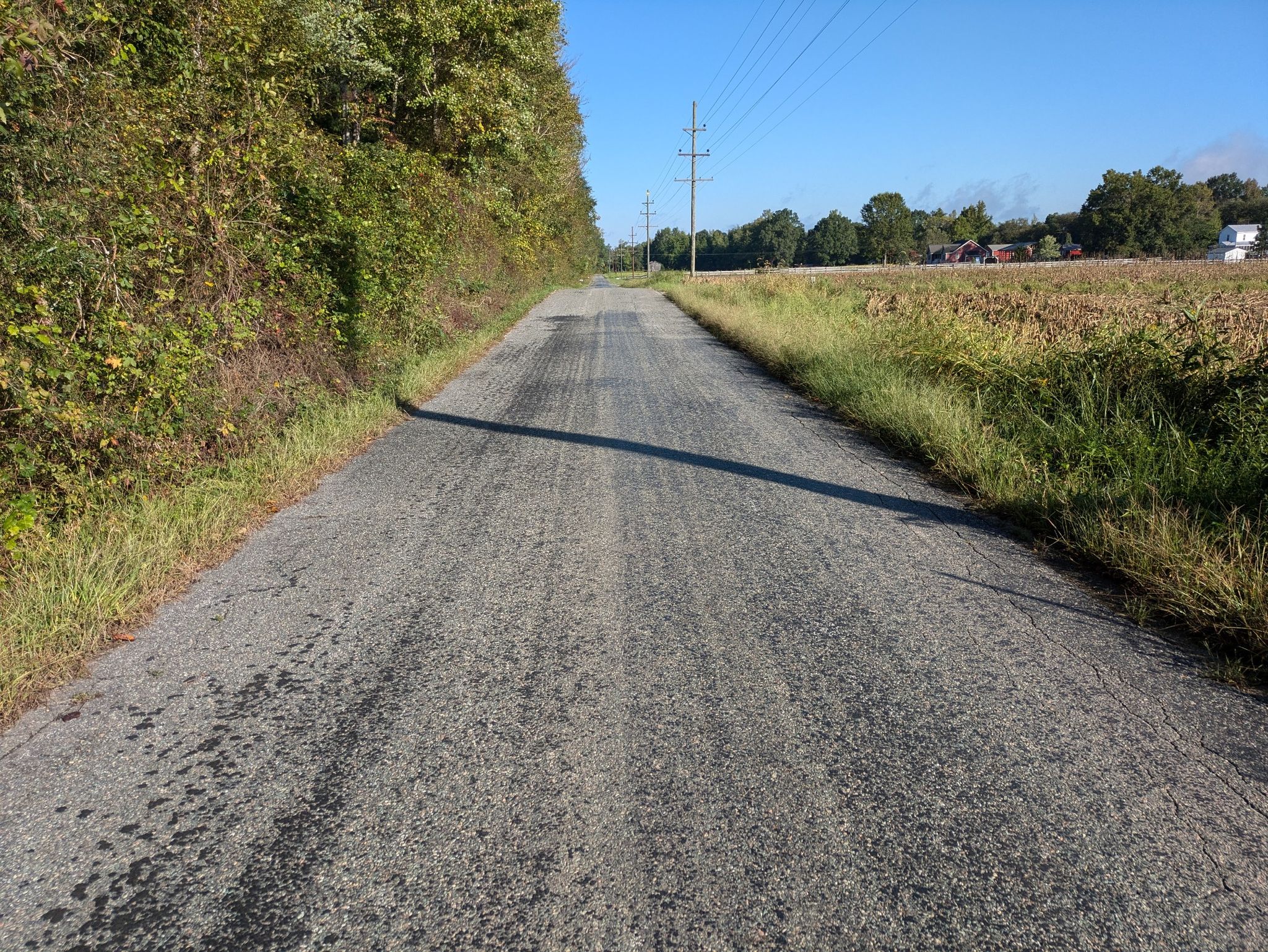 Very very little traffic during the whole ride - great!