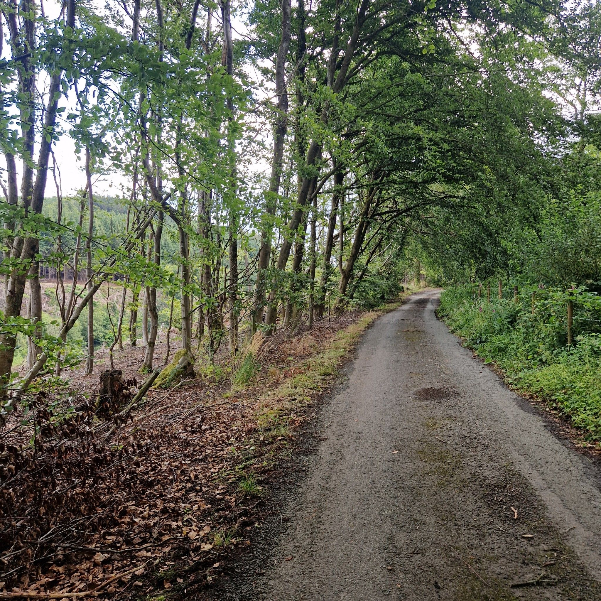 road