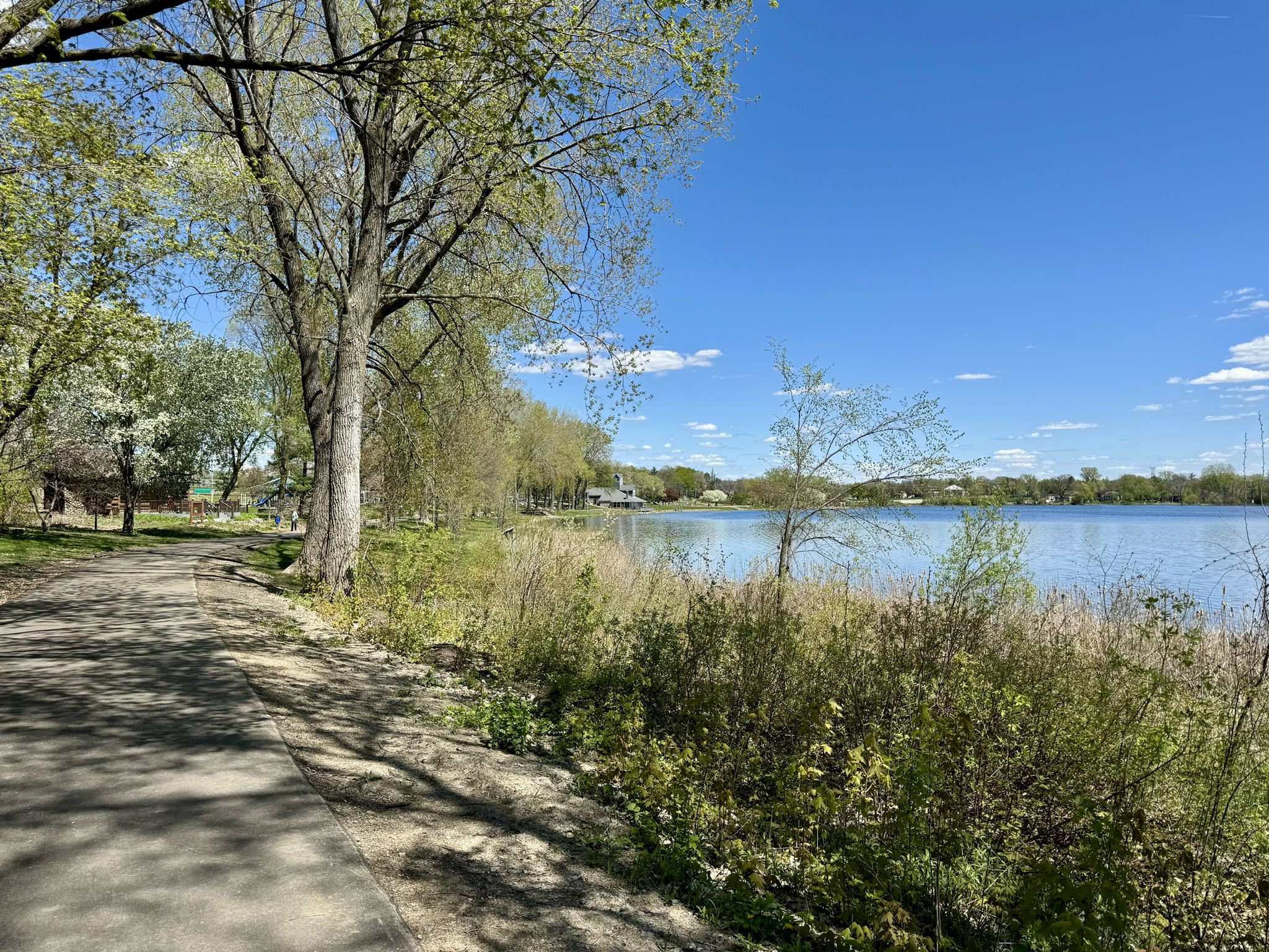 Paved path alongside a lake with green trees under a bright blue sky. - Parker's Lake Loop