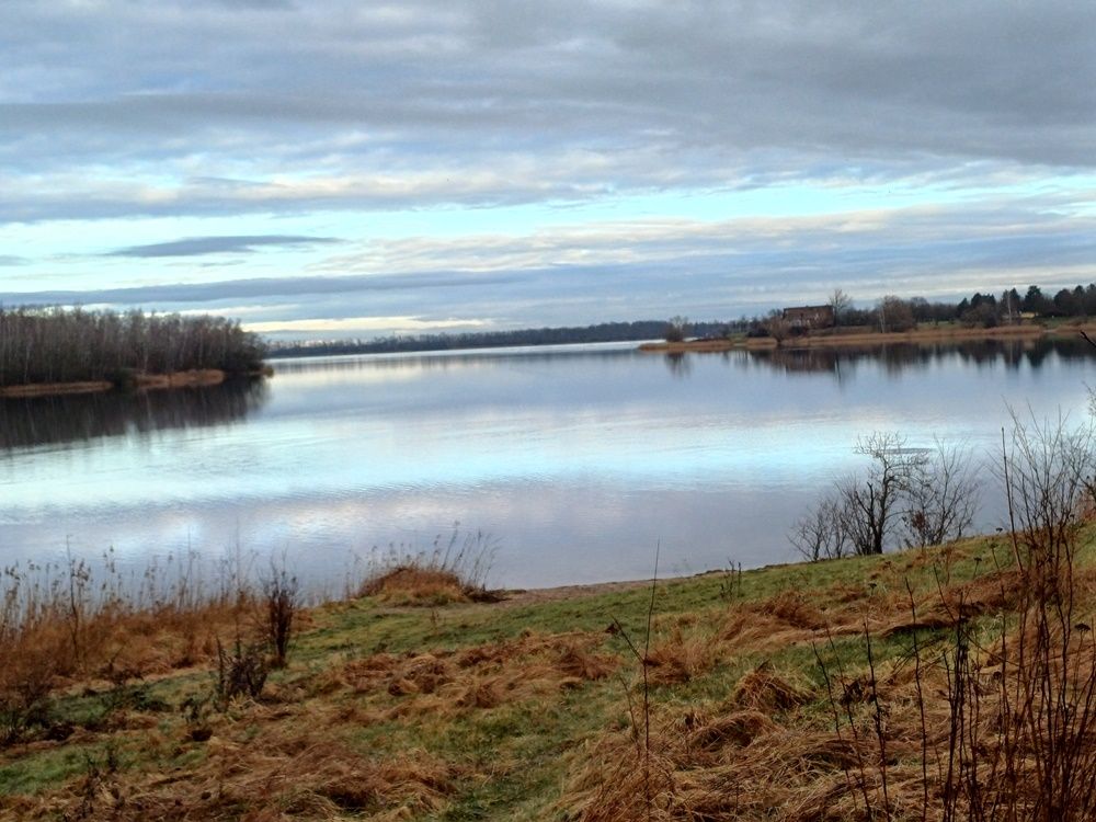 Am Kulkwitzer See