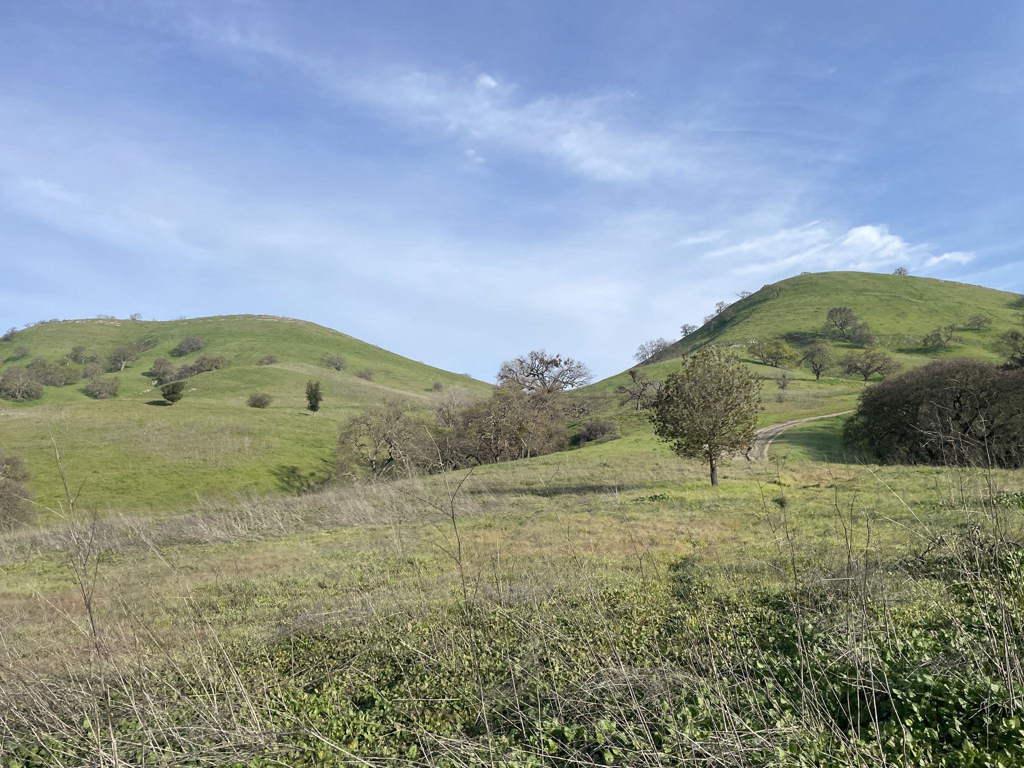 Rolling green hills with scattered trees under a partly cloudy blue sky. - Shell Ridge: Twin Ponds Loop
