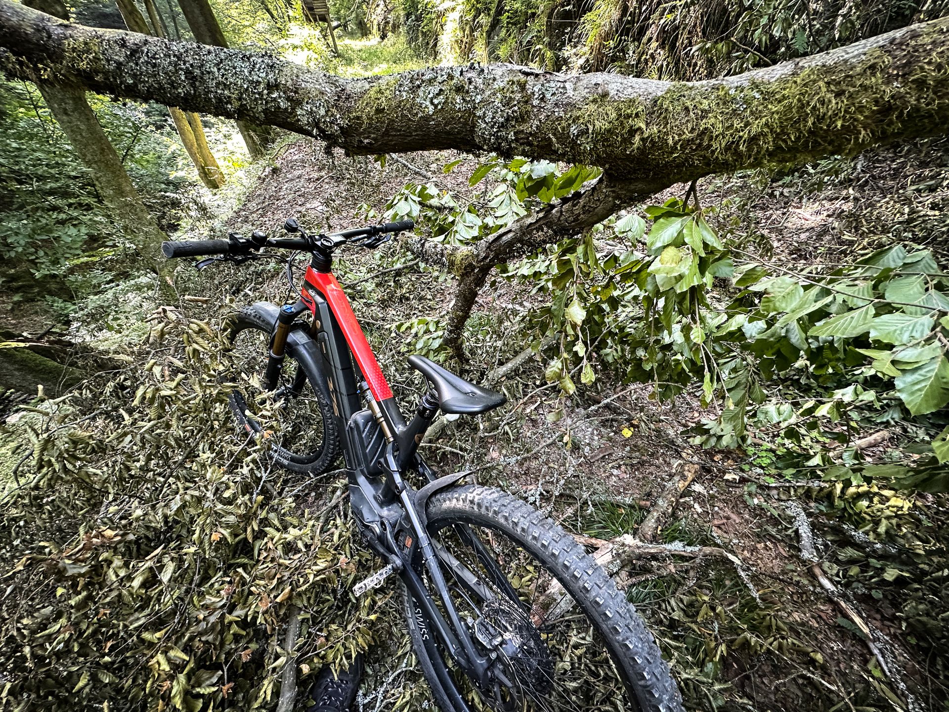 klapprad deutschland Das SachsenRAD E-Bike Faltrad F12 ist ein Klapprad, das sich ausgezeichnet als Citybike einsetzen und sich wunderbar im ÖPNV transportieren lässt. Das 16 Zoll Folding eBike darkstyle Selbstbräuner auftragen: 14 Schritte Overall Color:Red Plum