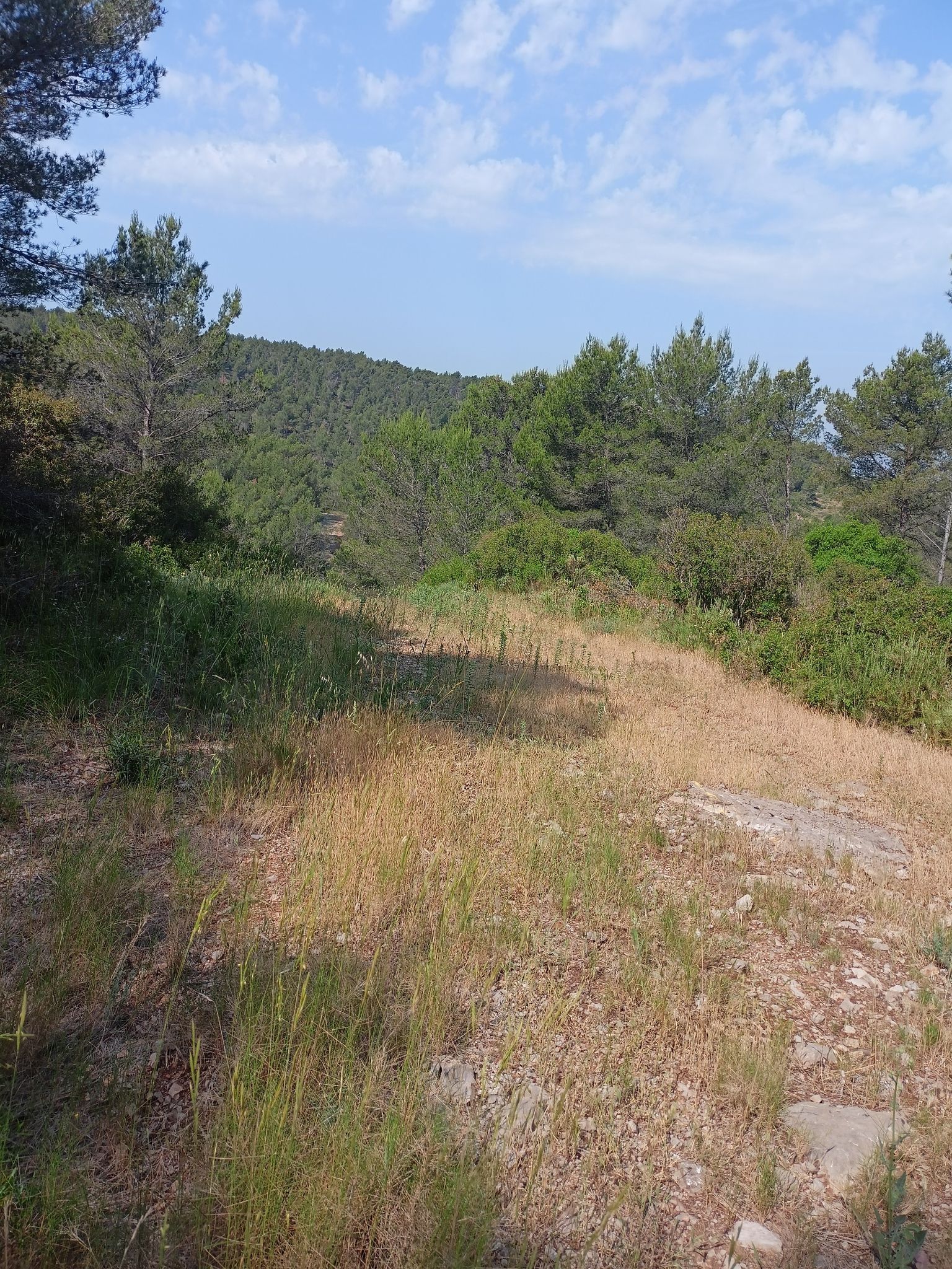 montée pierrier difficile