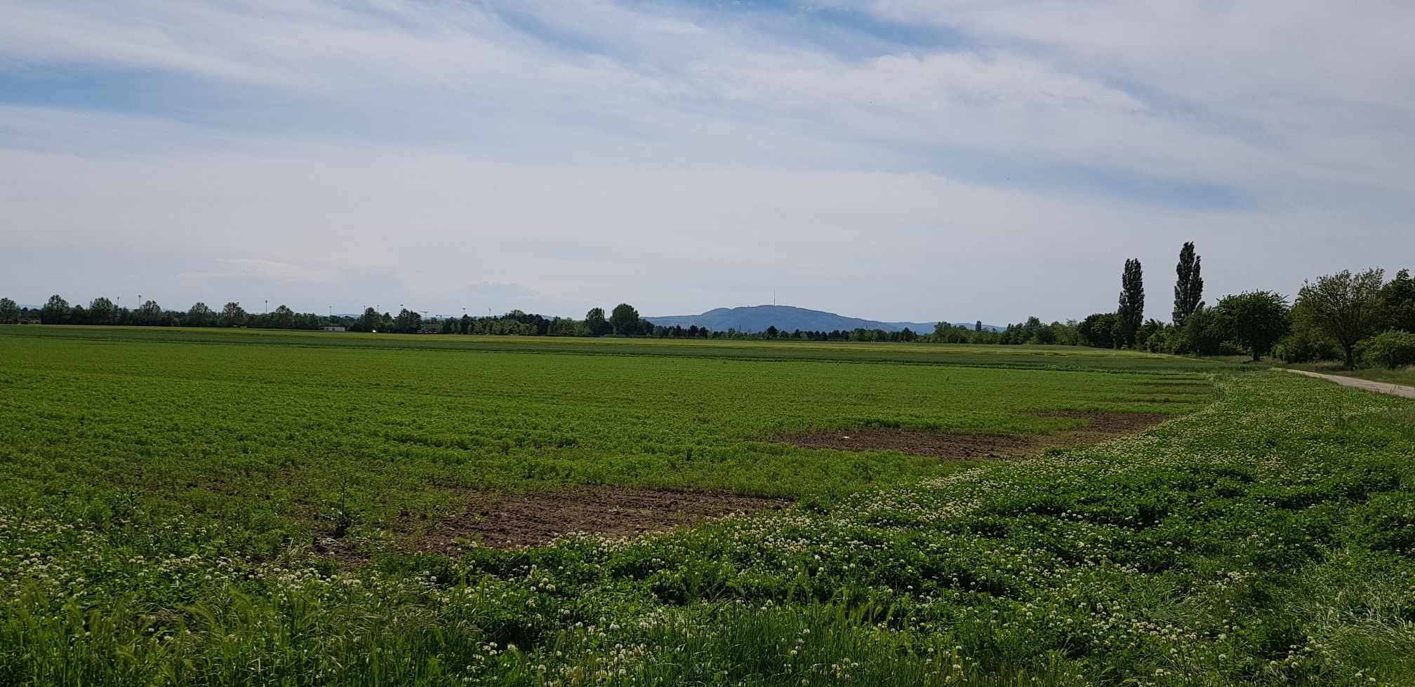 Am Marchfeldkanal