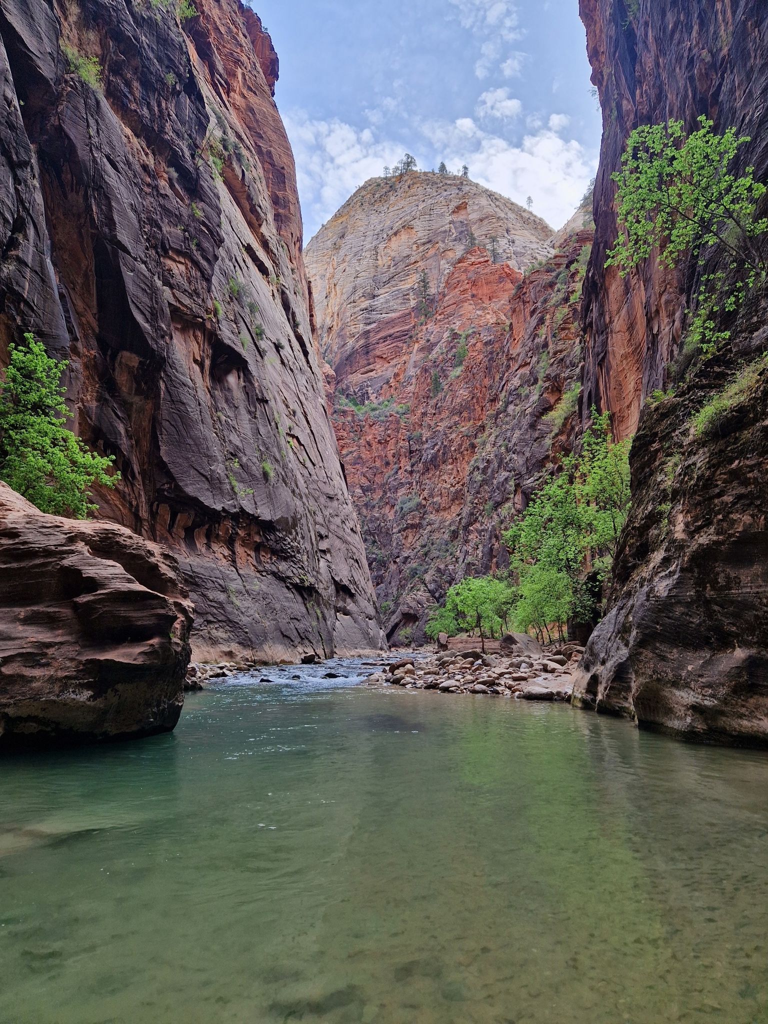 River flows through a deep canyon with towering red rock walls under bright sky. - Zion Narrows Top-Down Hiking Route