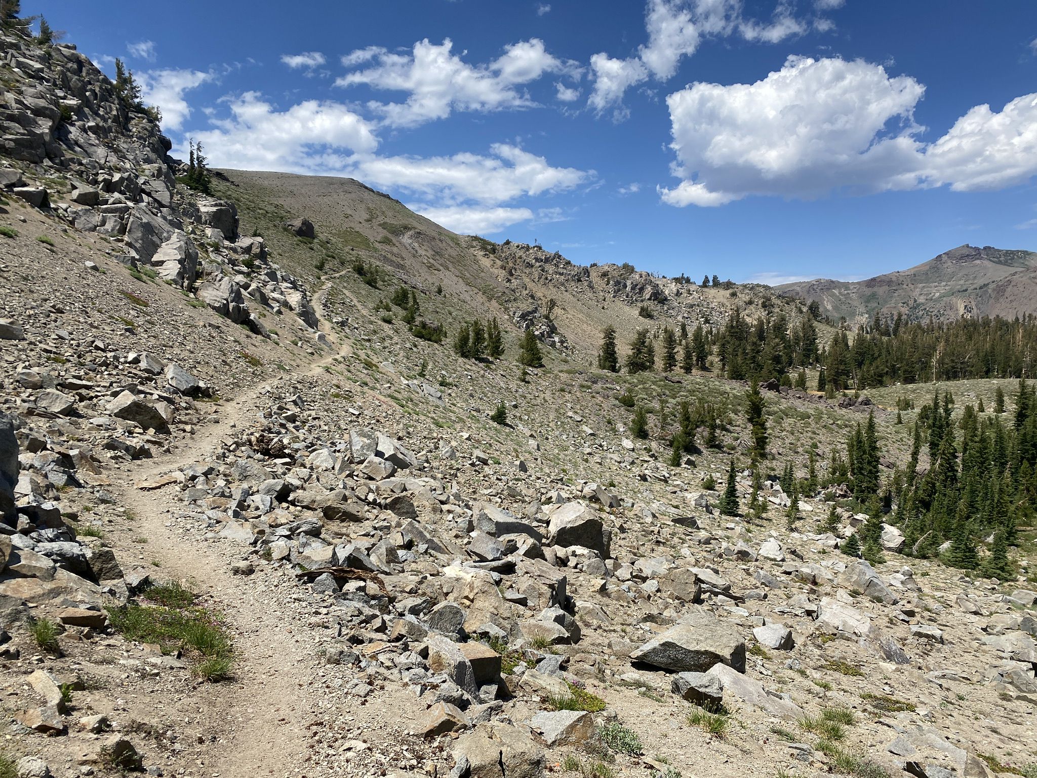 A winding dirt trail ascends a rocky, treeless mountain slope under a blue sky. - Lost Lakes via PCT Carson Pass