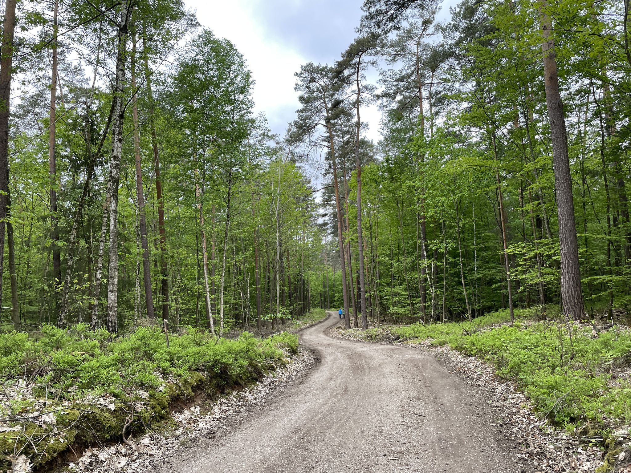 Immer, wenn ich an Menschen ankam, hatte ich bei 7,6 km/h das Gefühl, die schleichen vor sich hin.