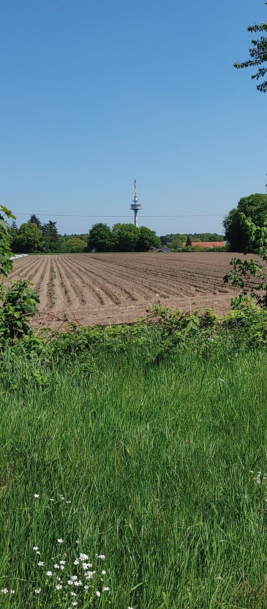 Hennstedt