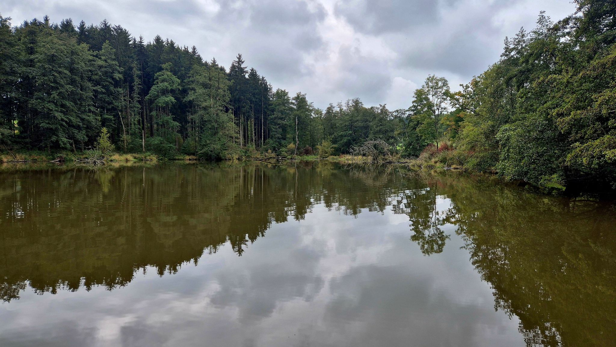 Weiher in Weinberg