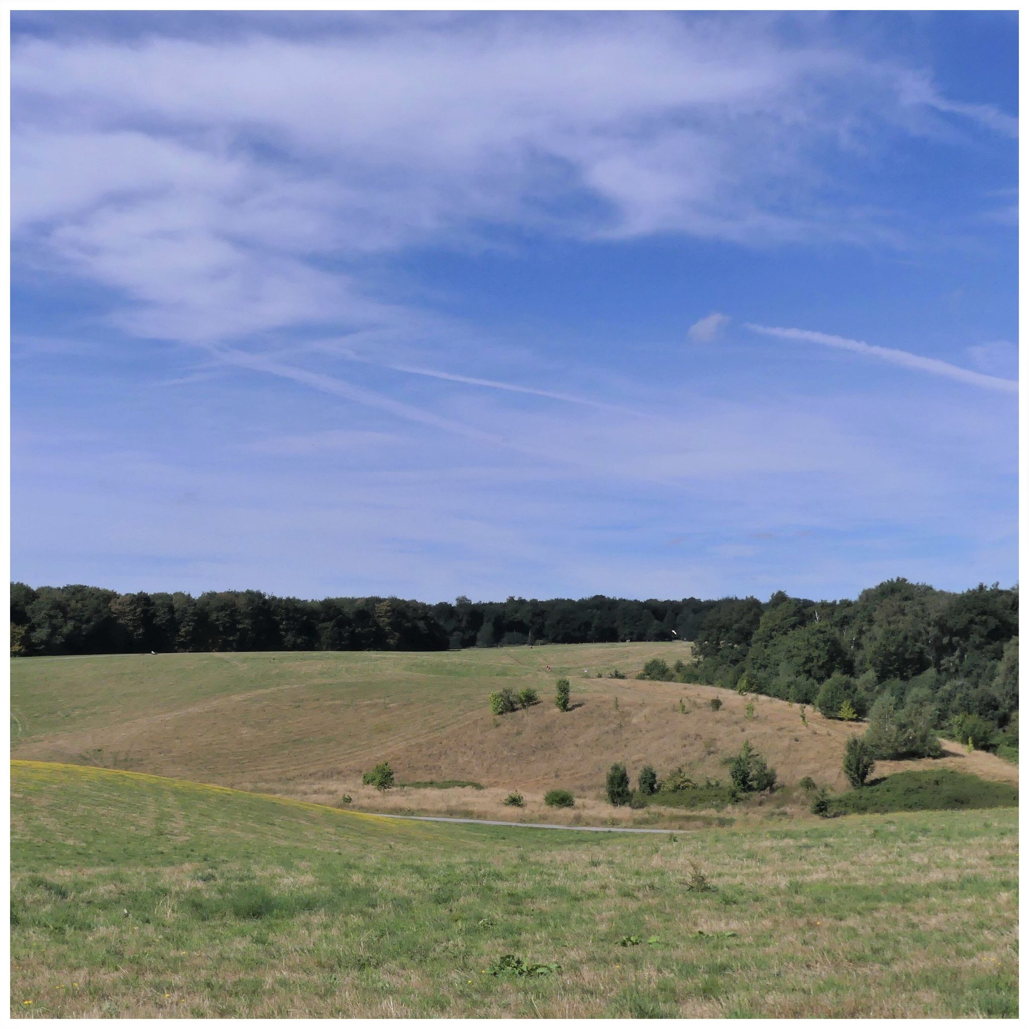 in den Knittkuhler Highlands