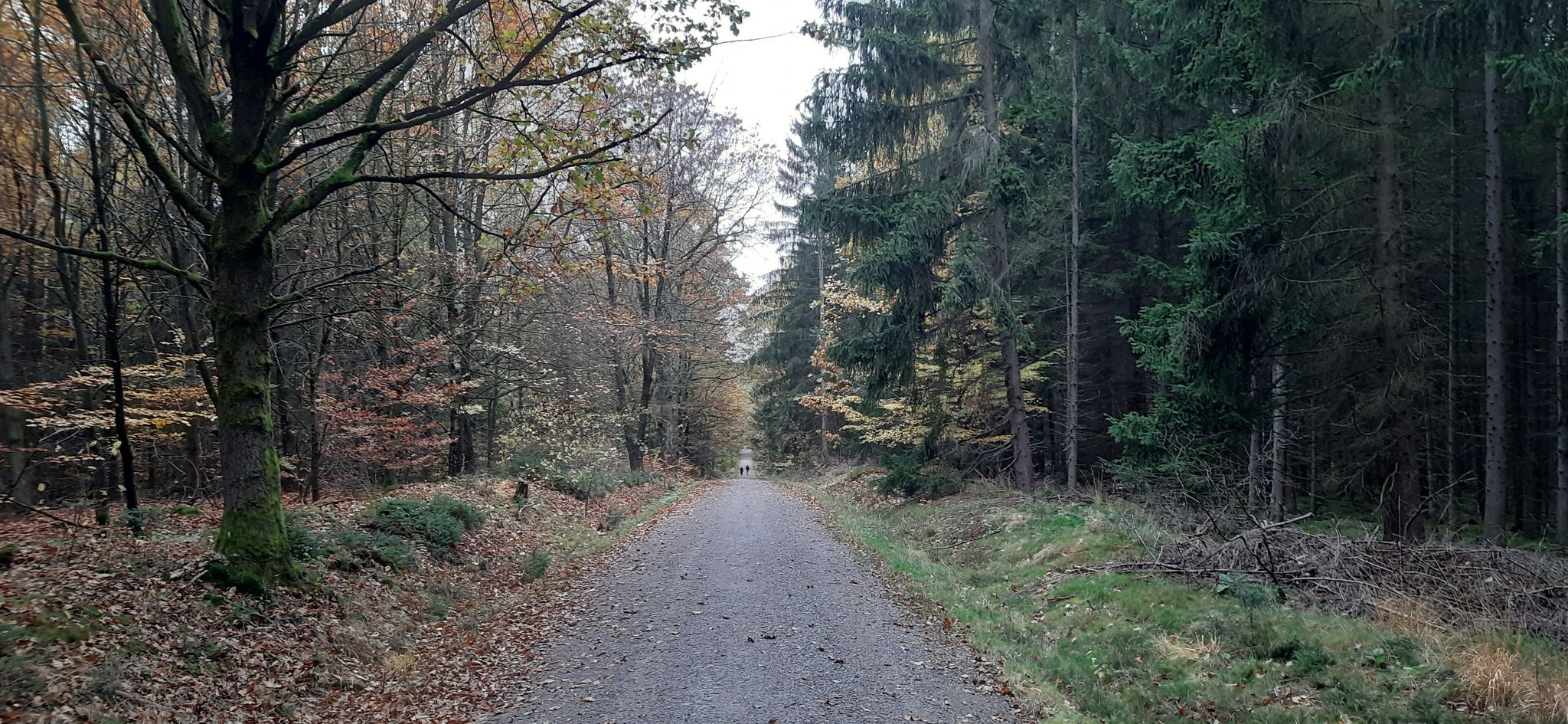 Weg "Langer Flügel"