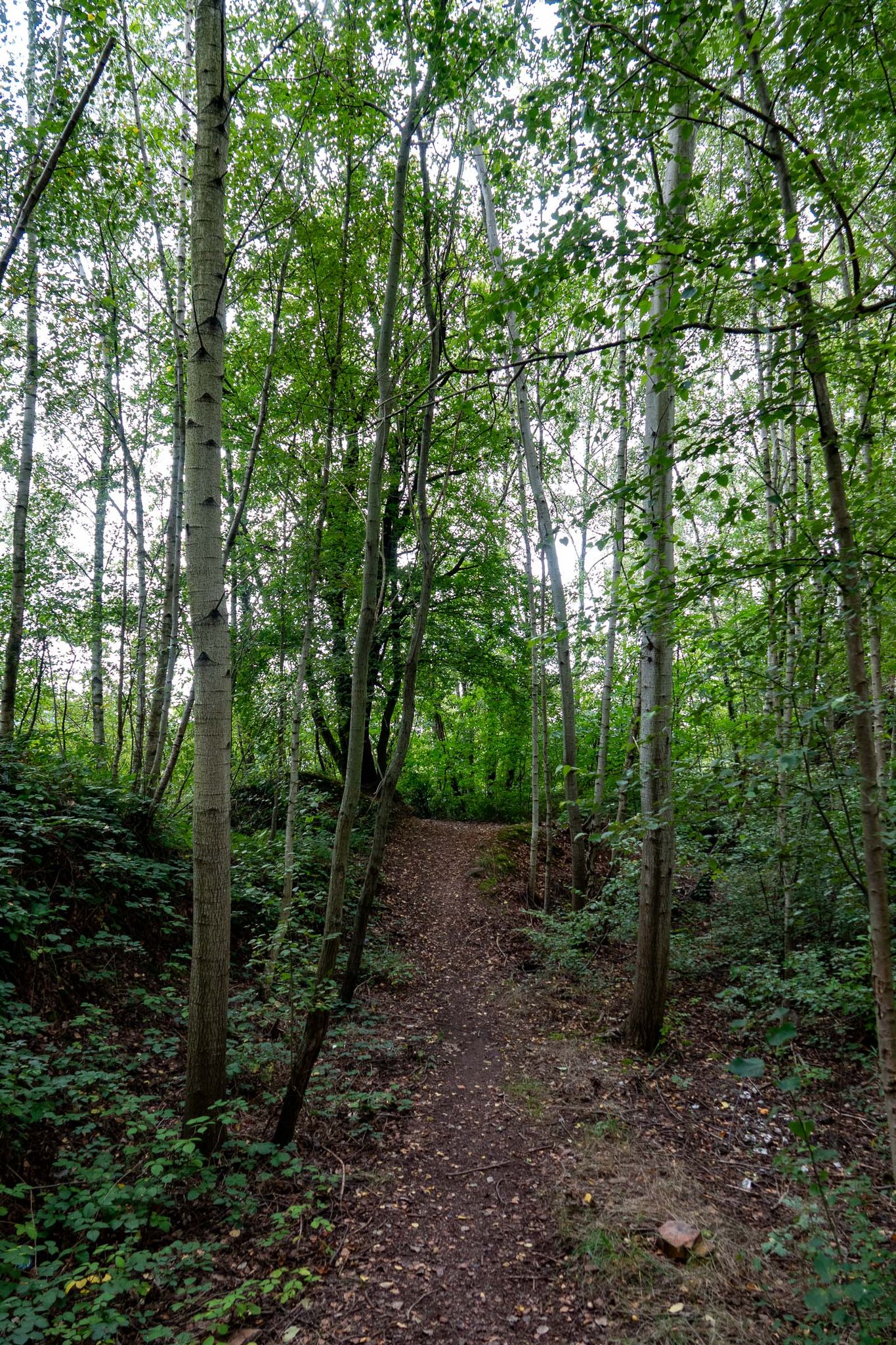 le terril des Quatre Jean