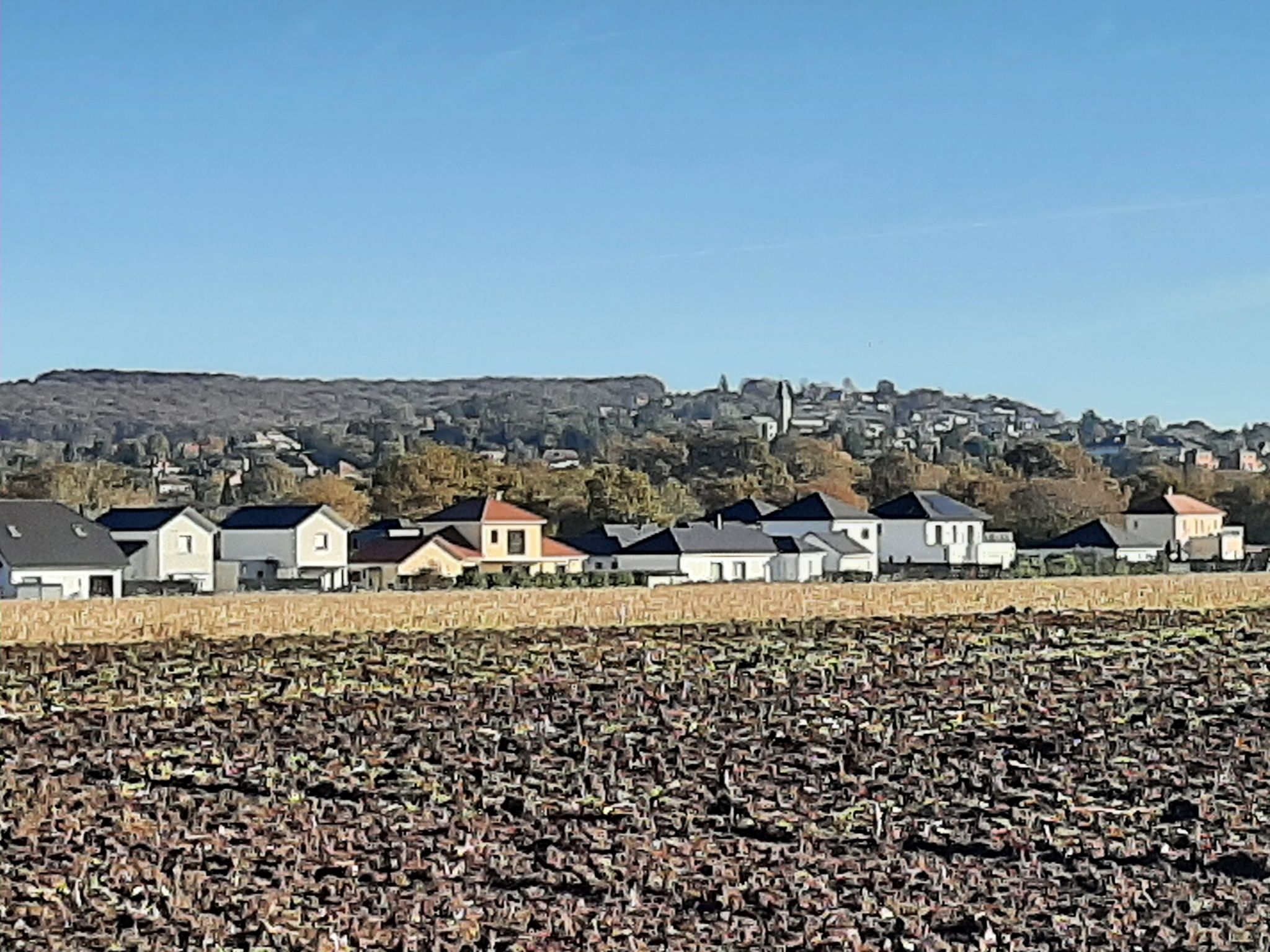 En bas de Sauvagnon