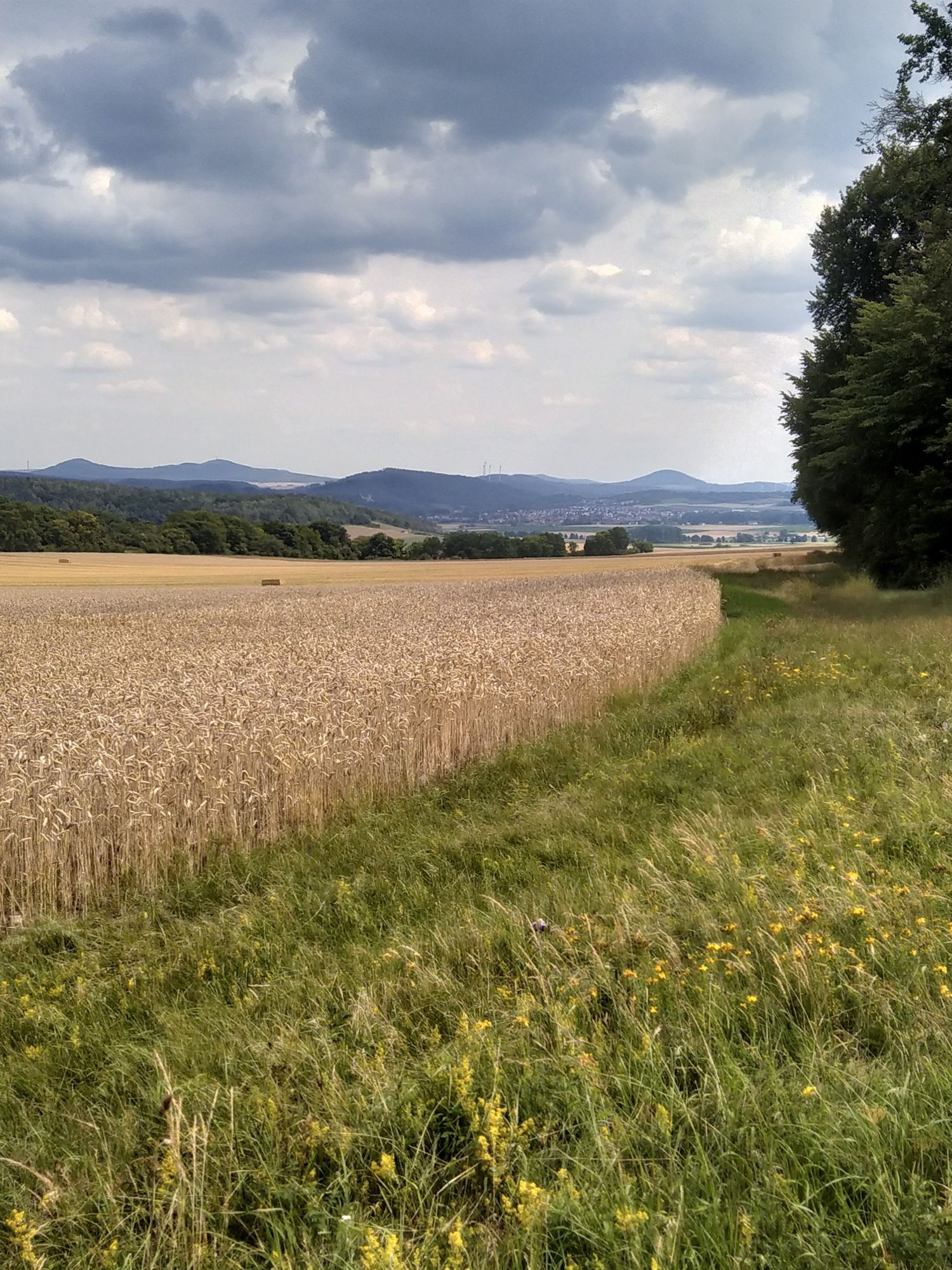 Blick auf Volkmarsen