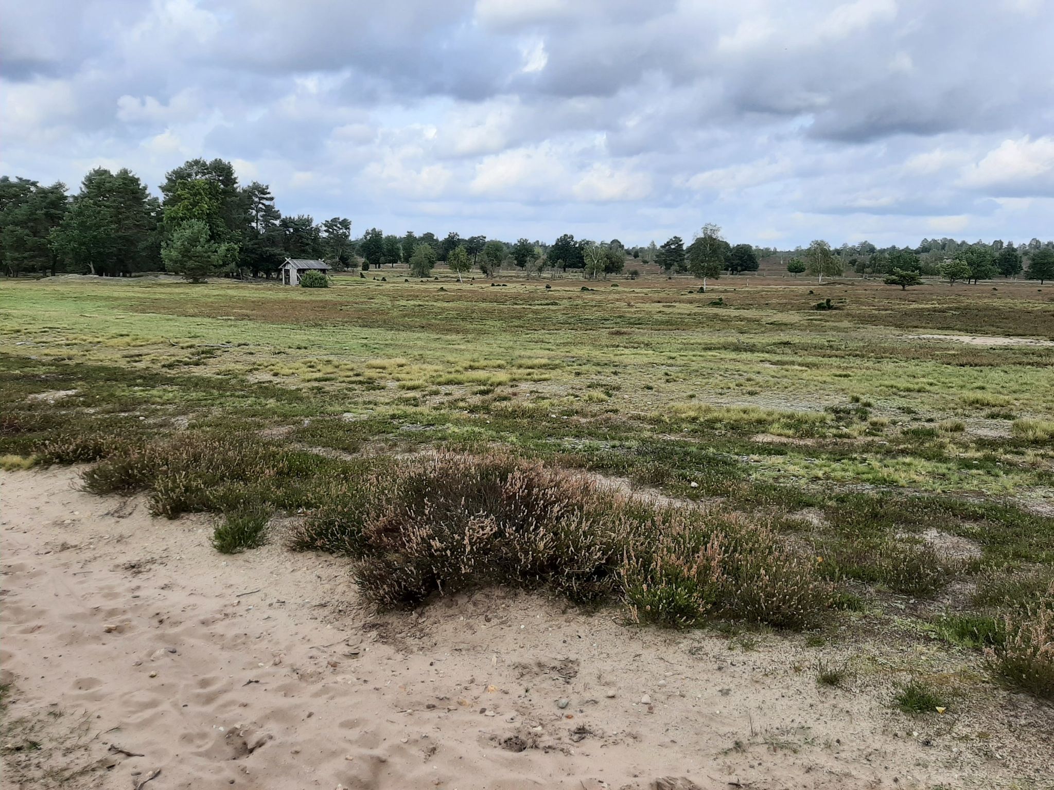 Landschaft