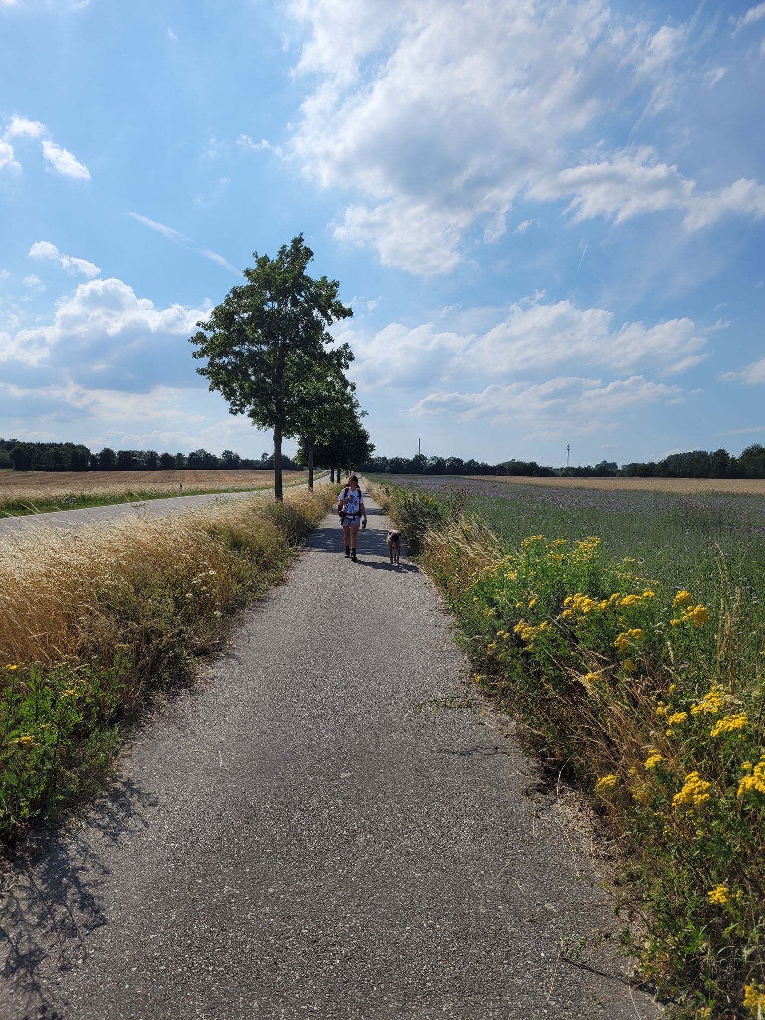 Rückweg hat begonnen