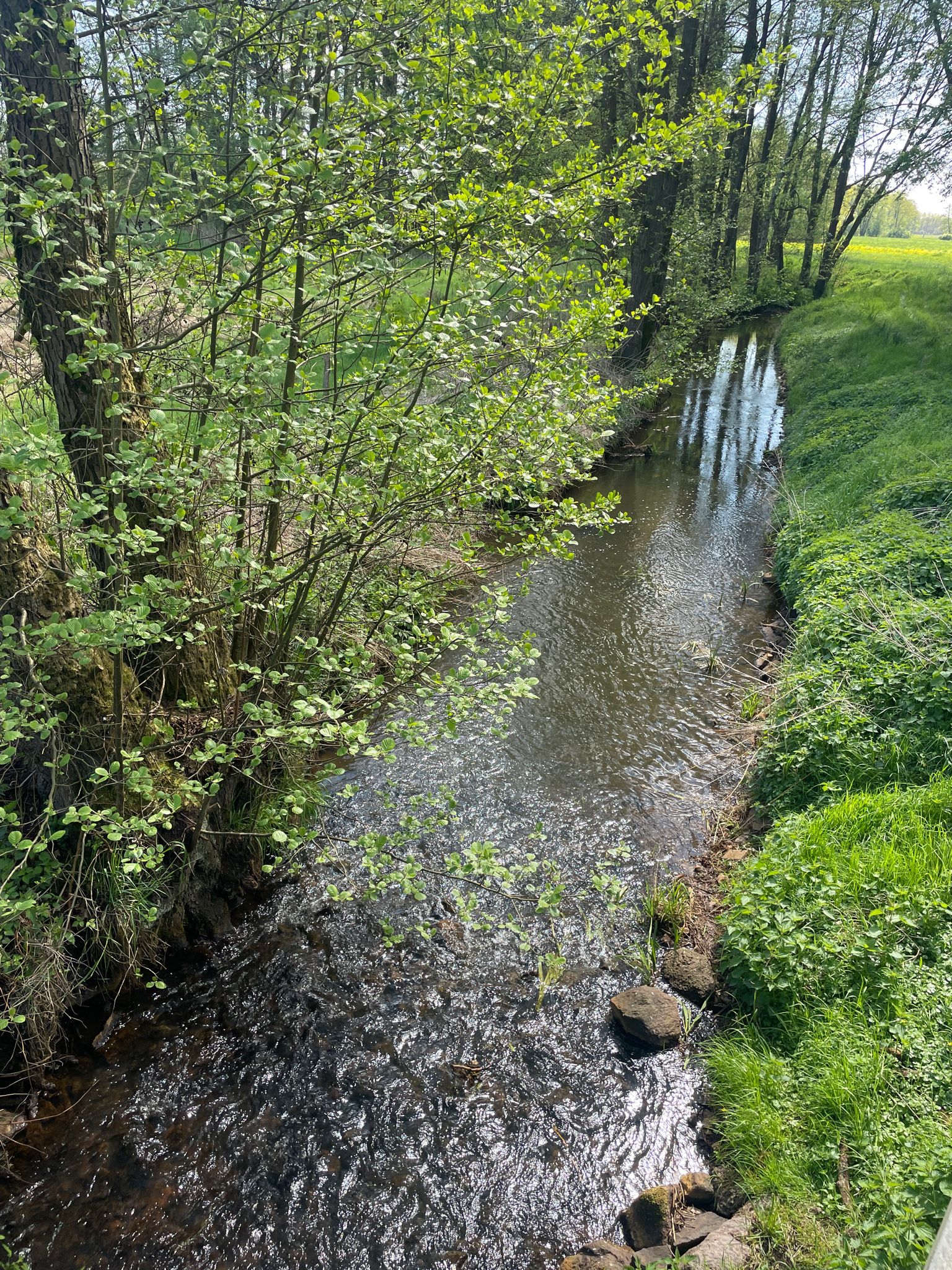 Die Ohre war hier der Grenzfluss.