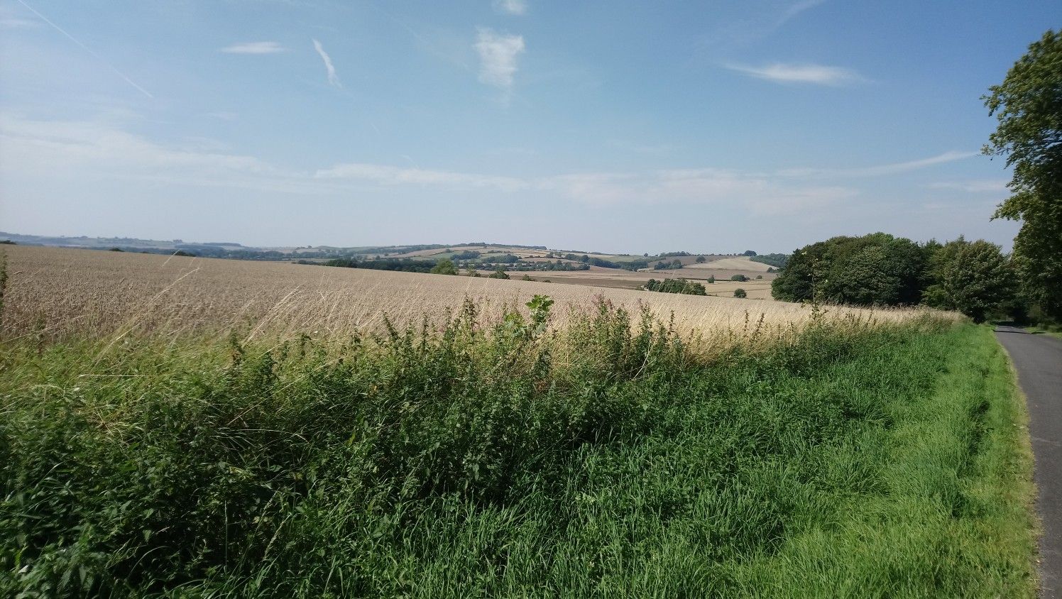 View from top of South Ormsby Estate