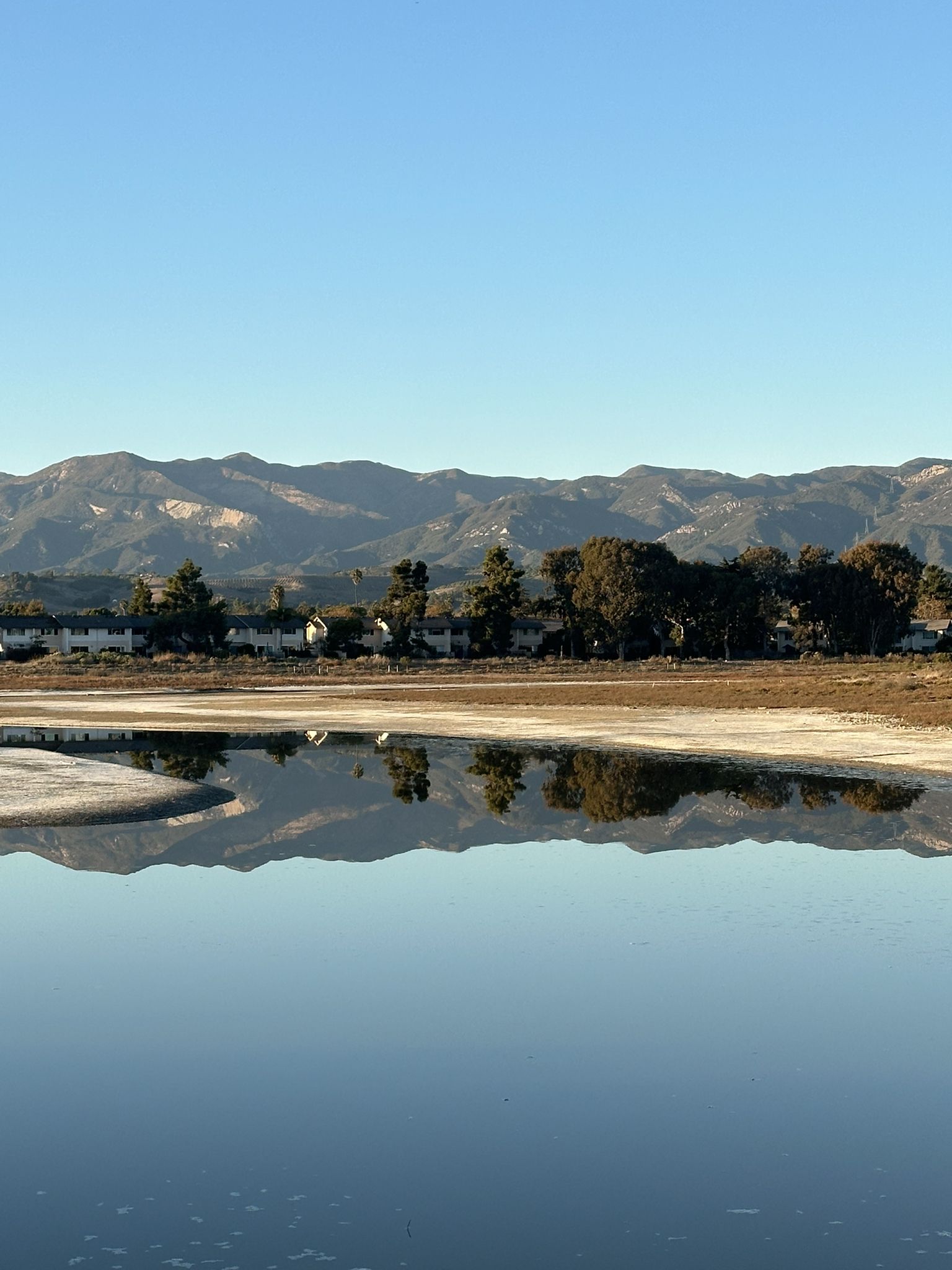 Calm water reflecting distant mountains, trees, and buildings under clear sky. - Coal Oil Point Reserve Tour