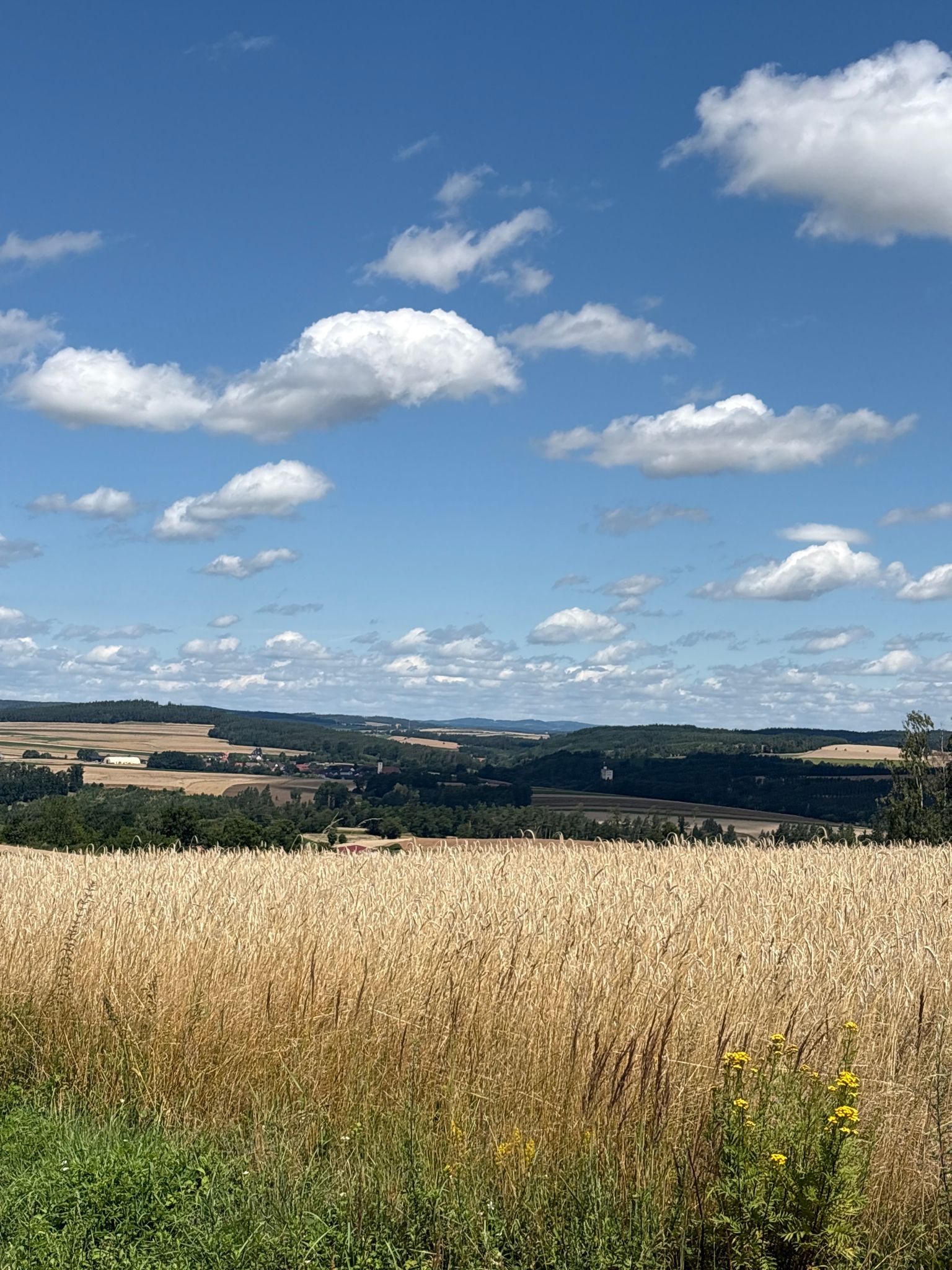 Blick Richtung Waldkirchen und Slavonice (Zlabings)