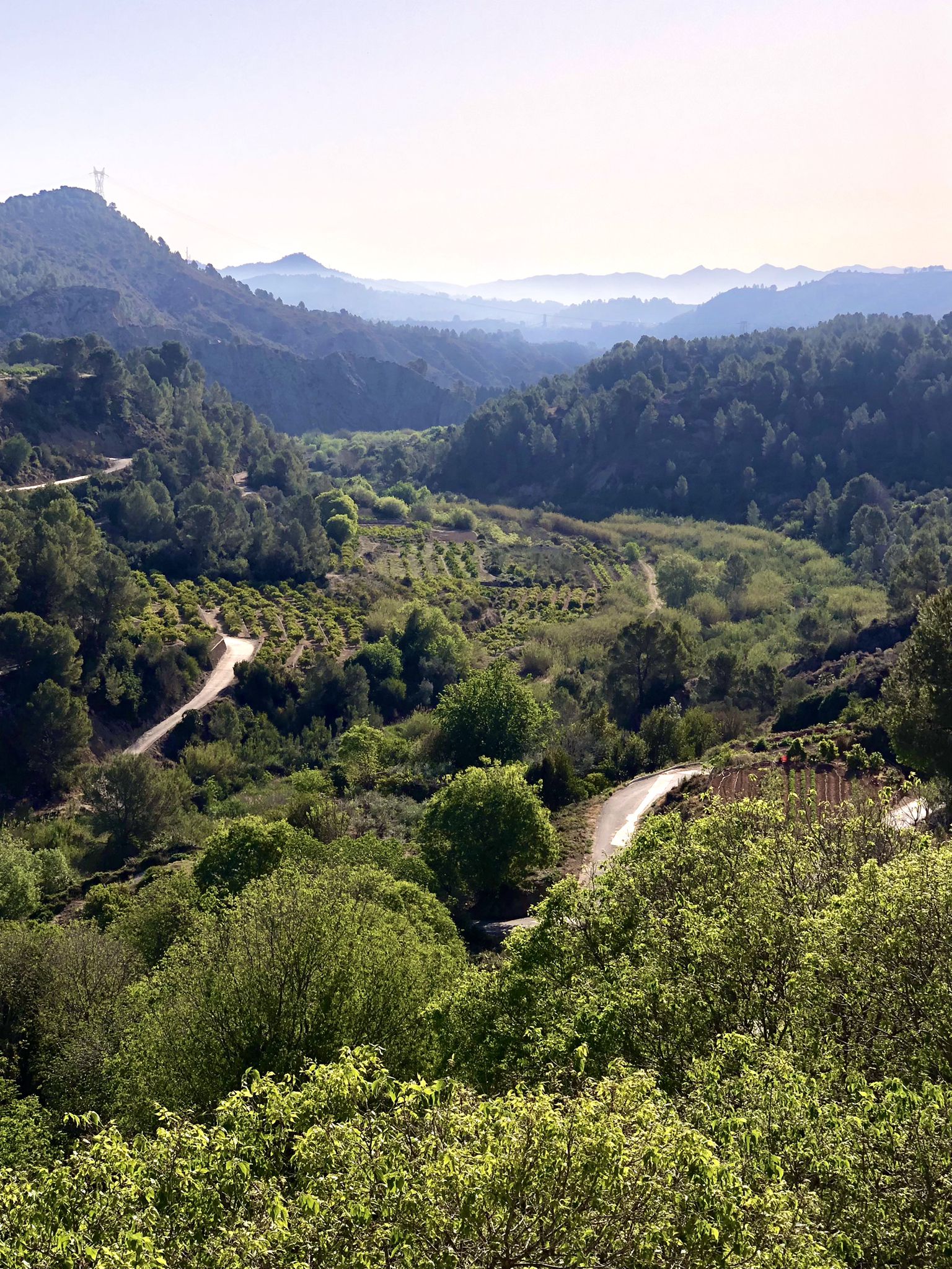 Cañón formado por el rio Sellent.
