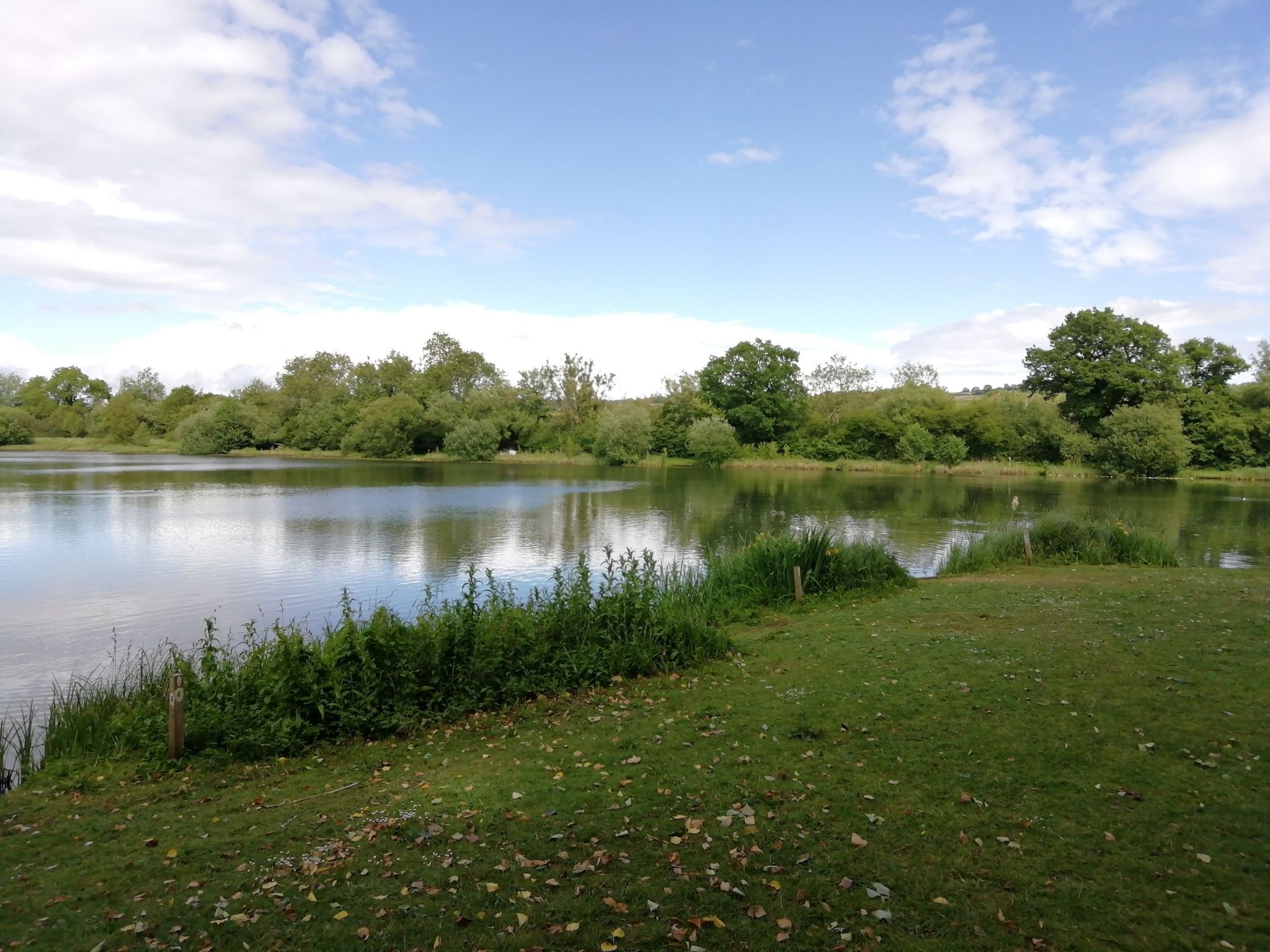 Lake