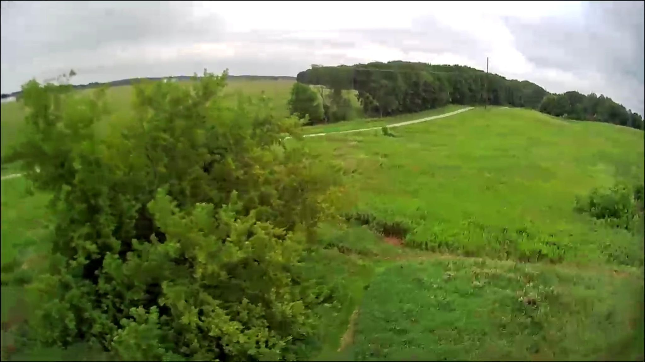 Overcast view of rolling green fields, a winding path, and distant trees. - Kettle Moraine Forest loop from Elkhart Lake