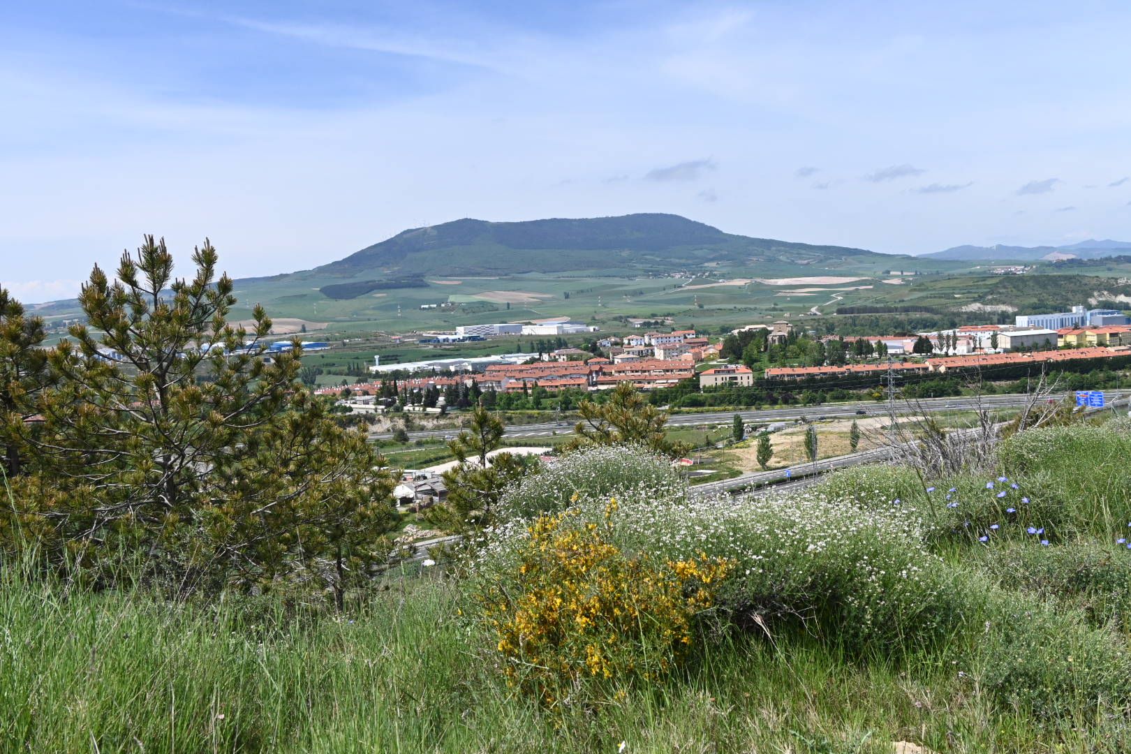 Iruña desde Sierra Tajonar