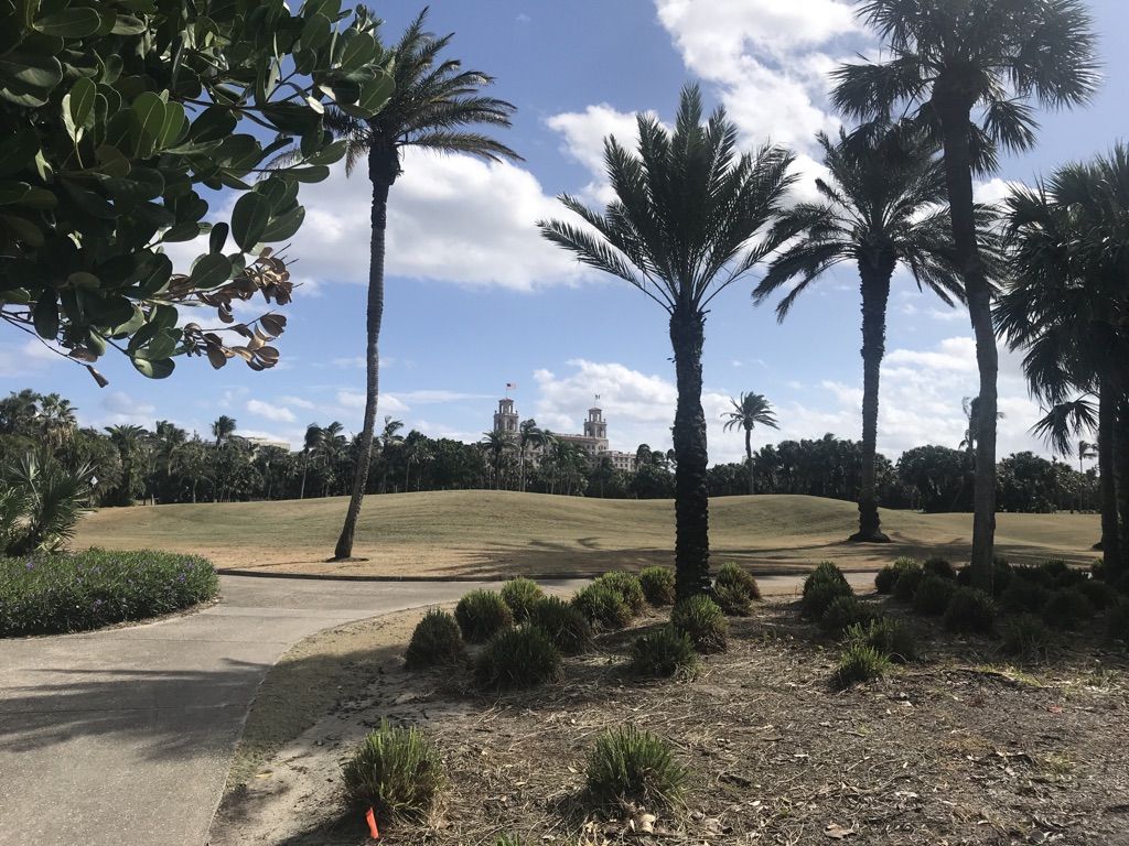 Palm trees and green golf course with distant buildings under a blue sky. - North Ocean Boulevard – North Ocean Boulevard loop from West Palm Beach