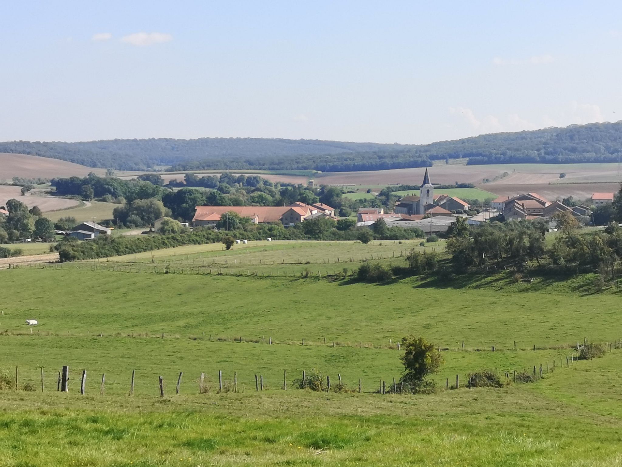 Fonteny