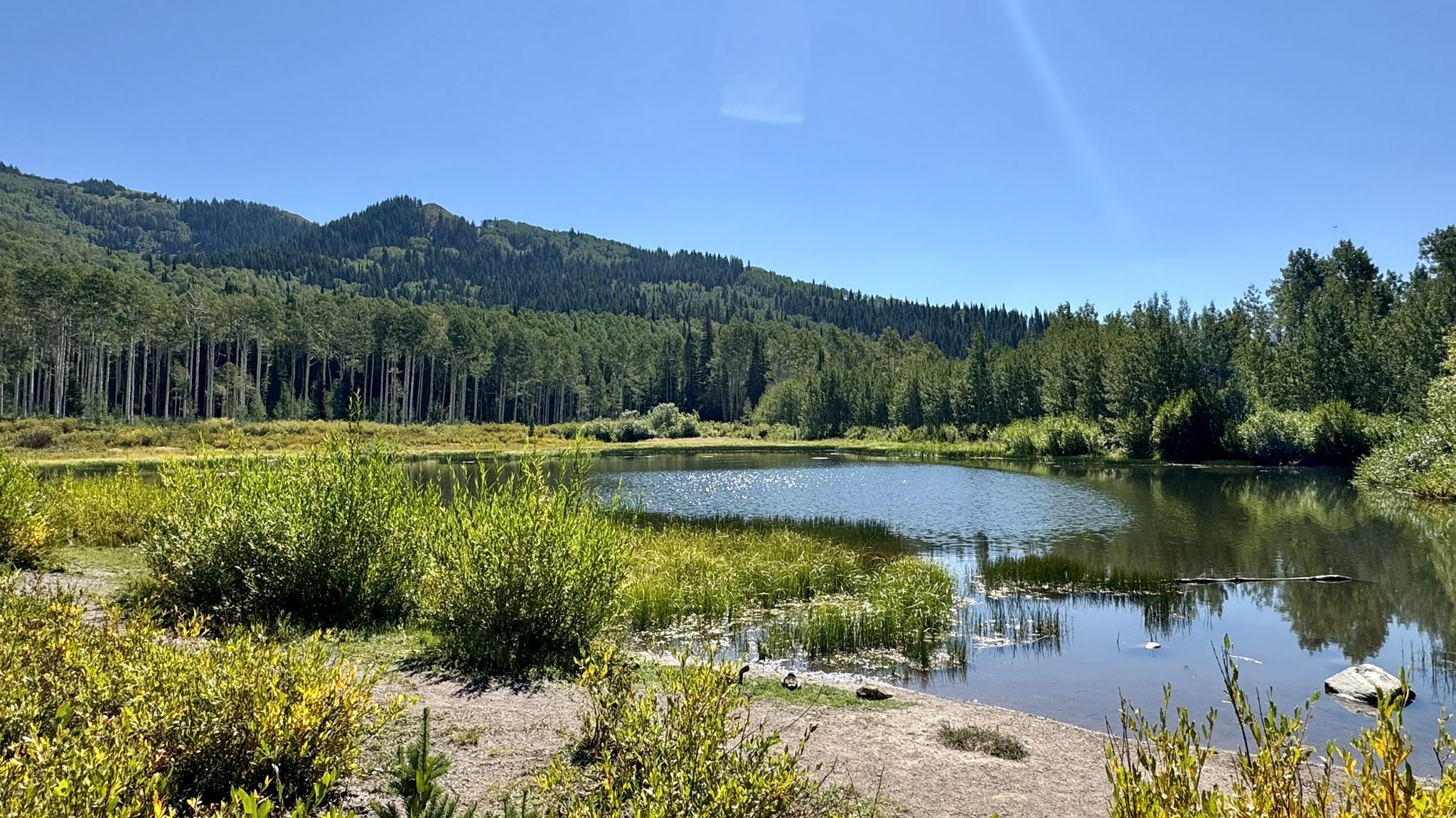 Sunny day over a calm lake surrounded by green bushes, trees, and mountains. - Willow Lake loop from Solitude Mountain Resort