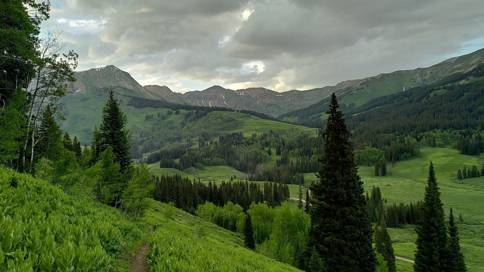 A lush green mountain valley with pine trees under a cloudy sky. - Washington Gulch and Snodgrass Loop