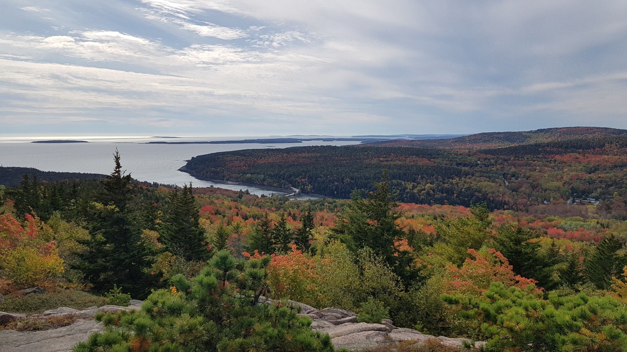 Panoramic view of colorful autumn forest, bay, and distant ocean under cloudy sky. - Gorham Mountain Loop Trail
