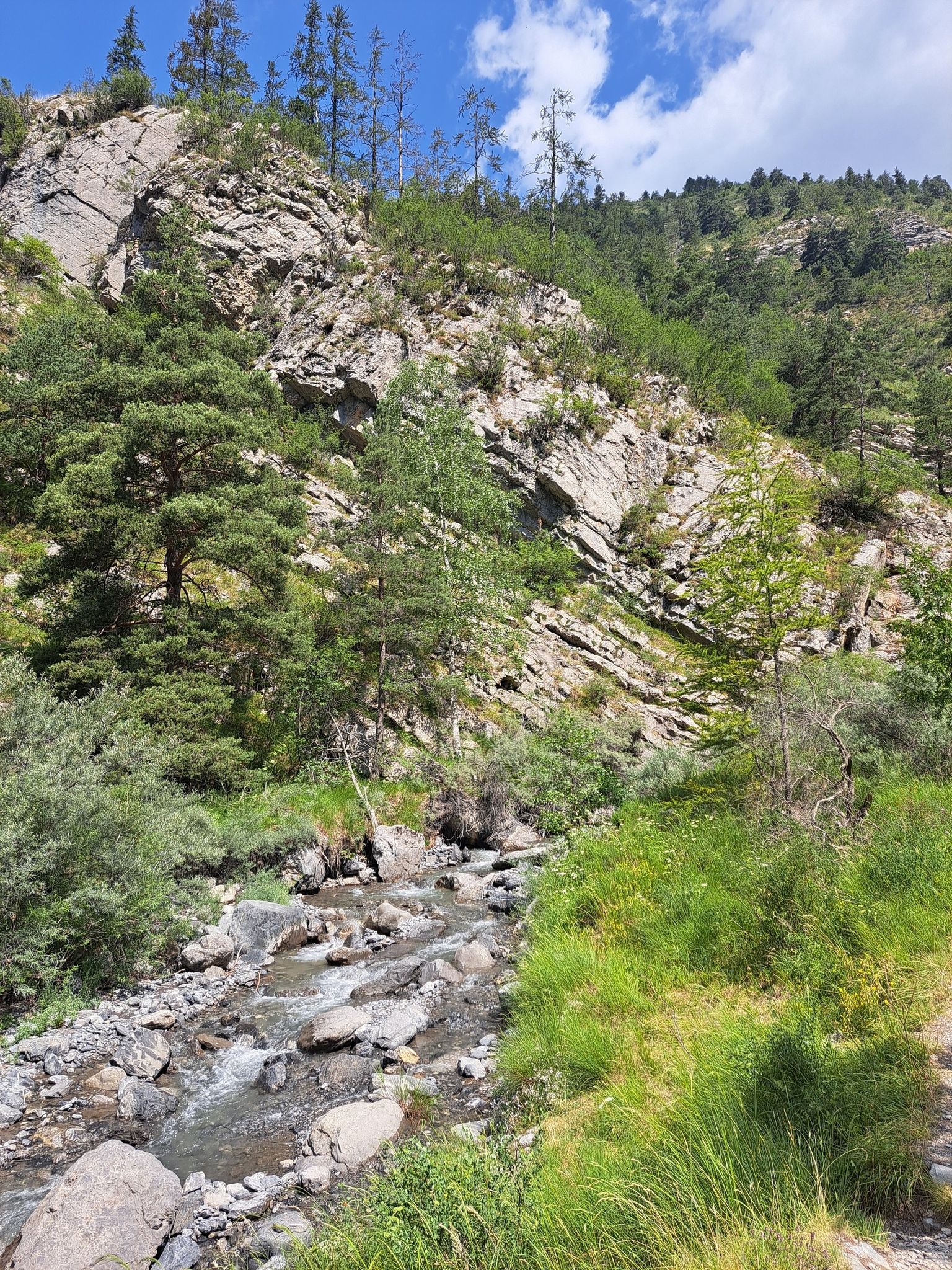 rivier