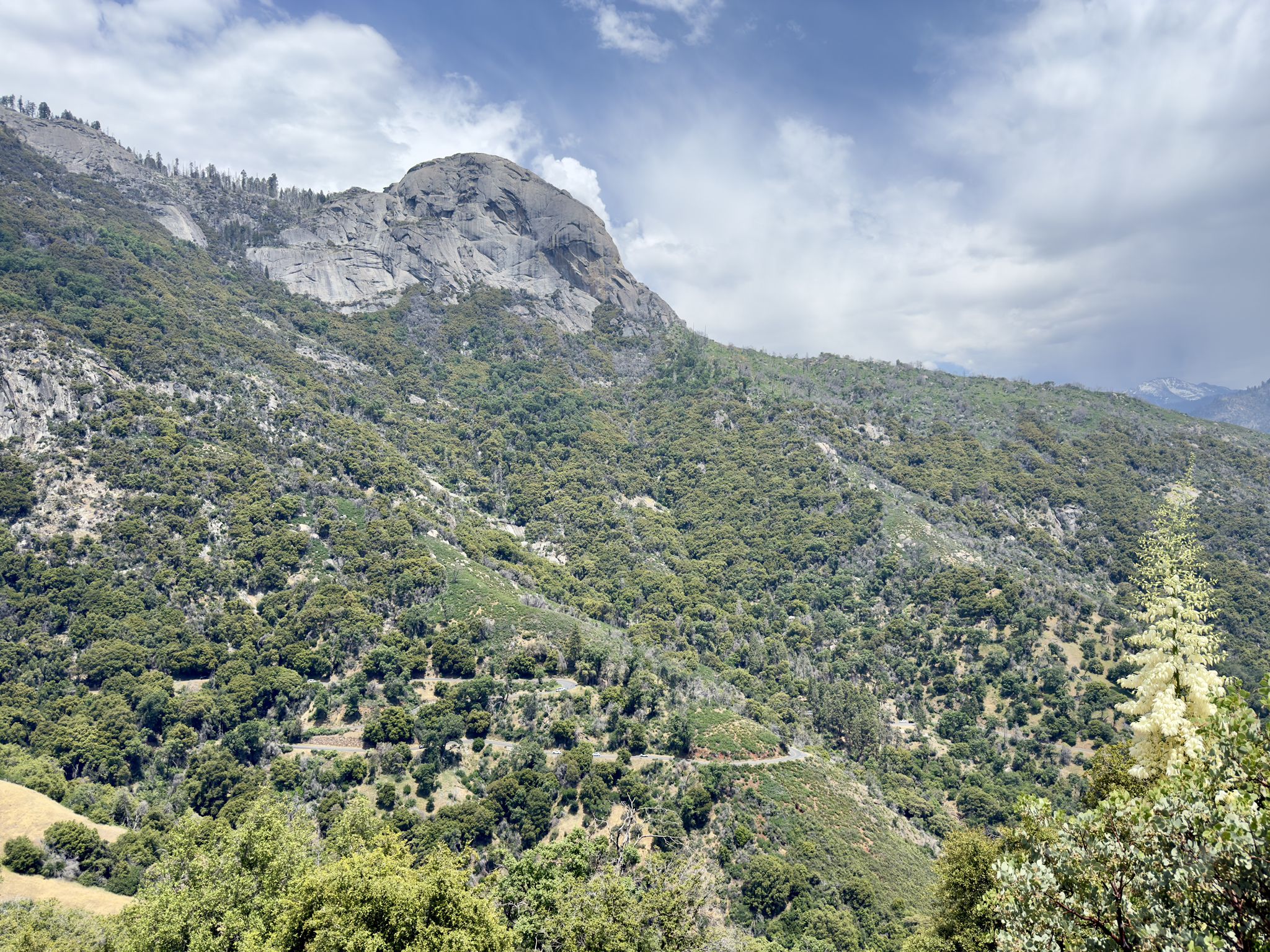 A vast, tree-covered mountain under a partly cloudy sky. - Giant Forest Museum – Roosevelt Tree loop from Sierra Drive & Skyline Drive - Memorial Building