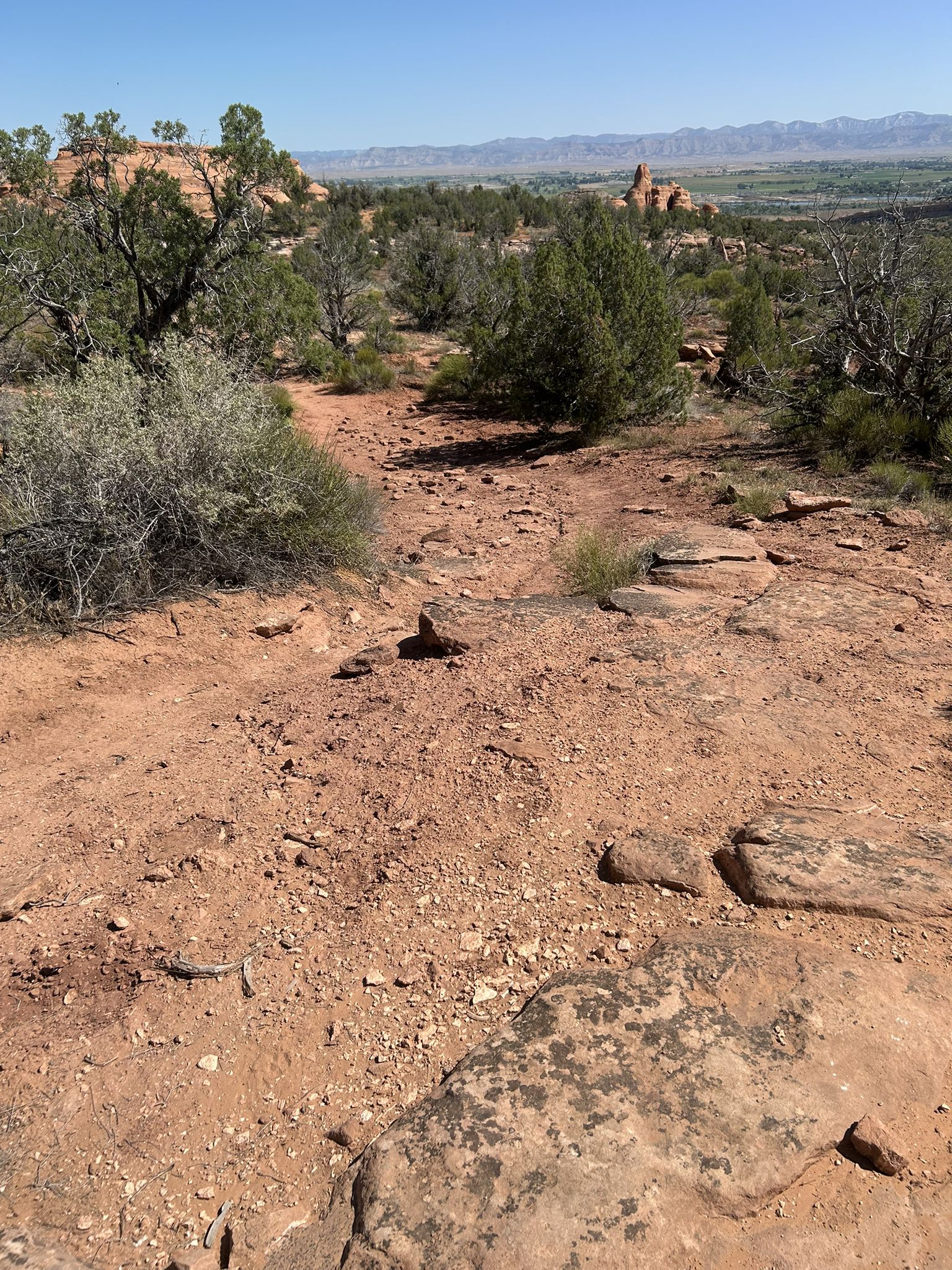 Rocky desert path with red earth and green shrubs under a bright blue sky. - Flume Canyon Trail