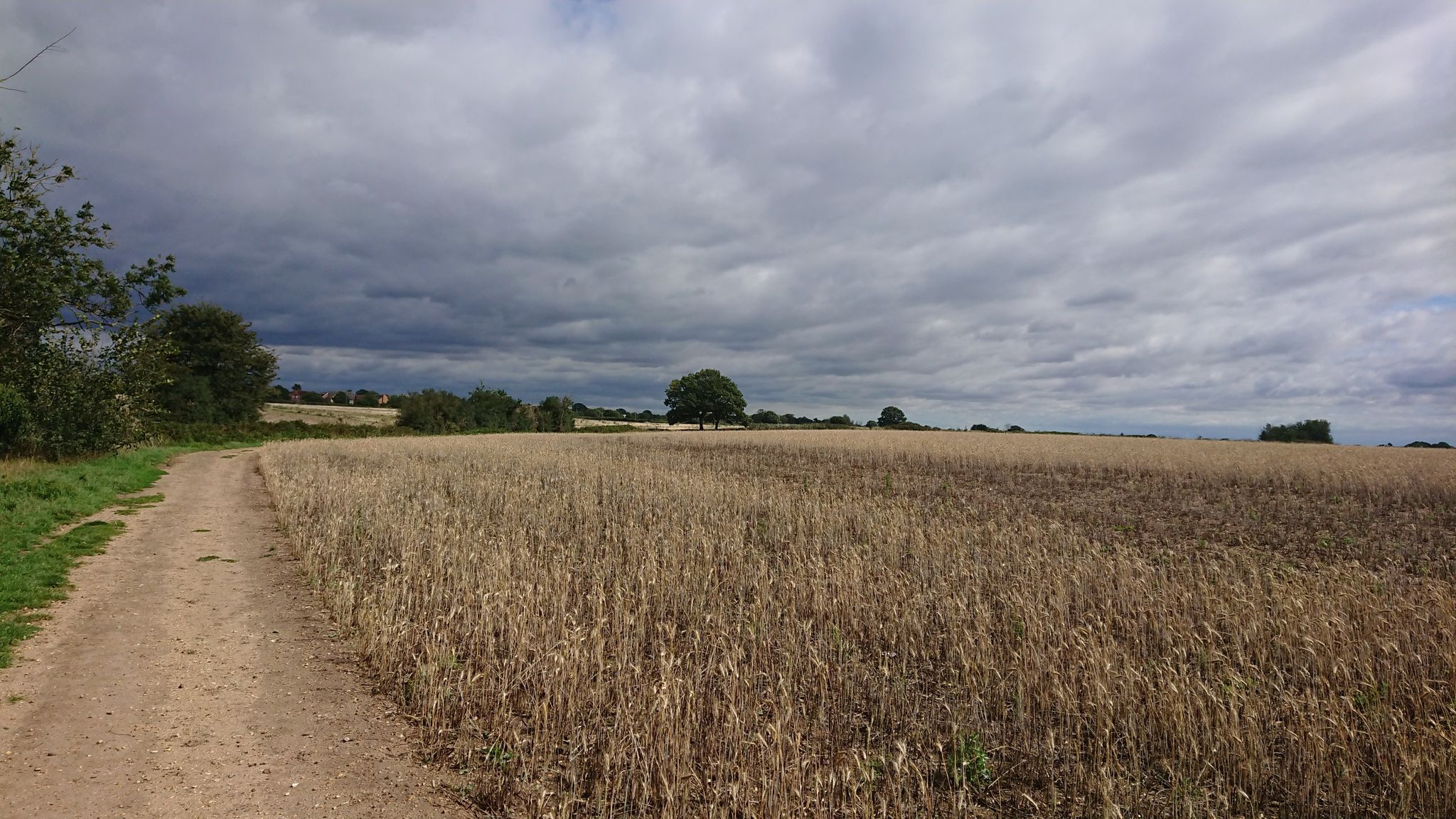 Field views from the bridleway