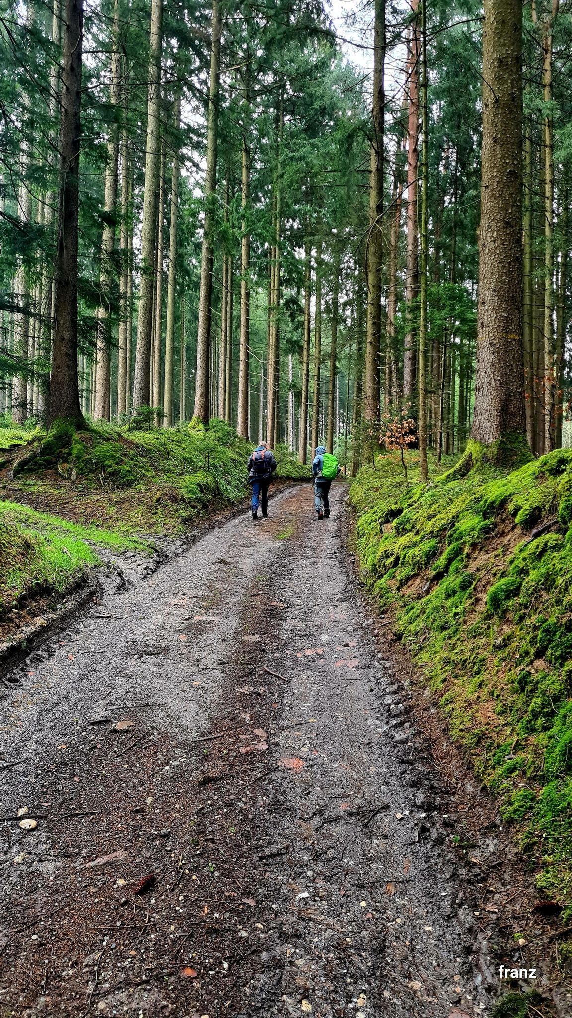 Im Hohlweg