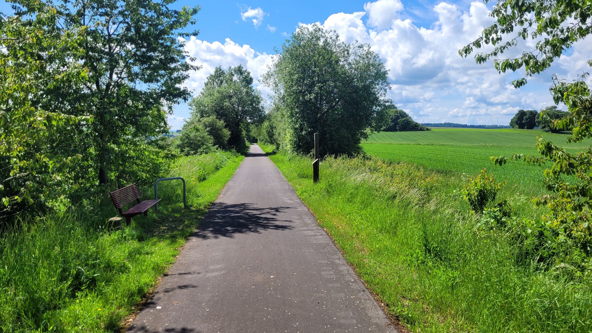 Vulkanradweg zwischen Ober Seemen und Hartmannshain