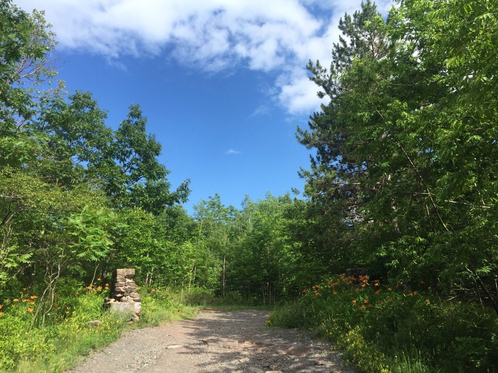 A sunlit dirt path winds through a vibrant green forest under a bright blue sky. - Boulder Rock and Catskill Mountain House Trail
