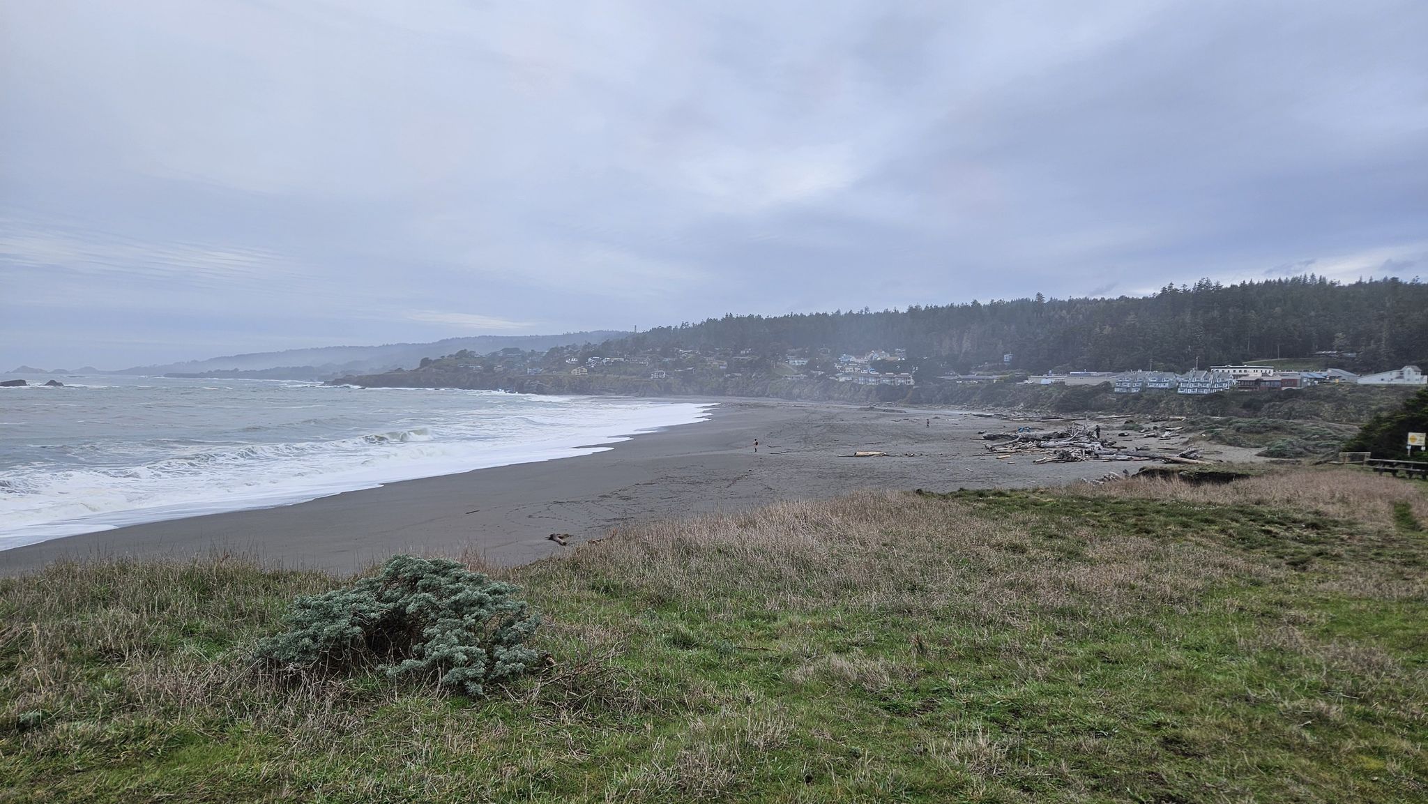 Wide sandy beach with crashing waves, backed by grassy dunes and trees. - Salal and Bluff Trail Loop