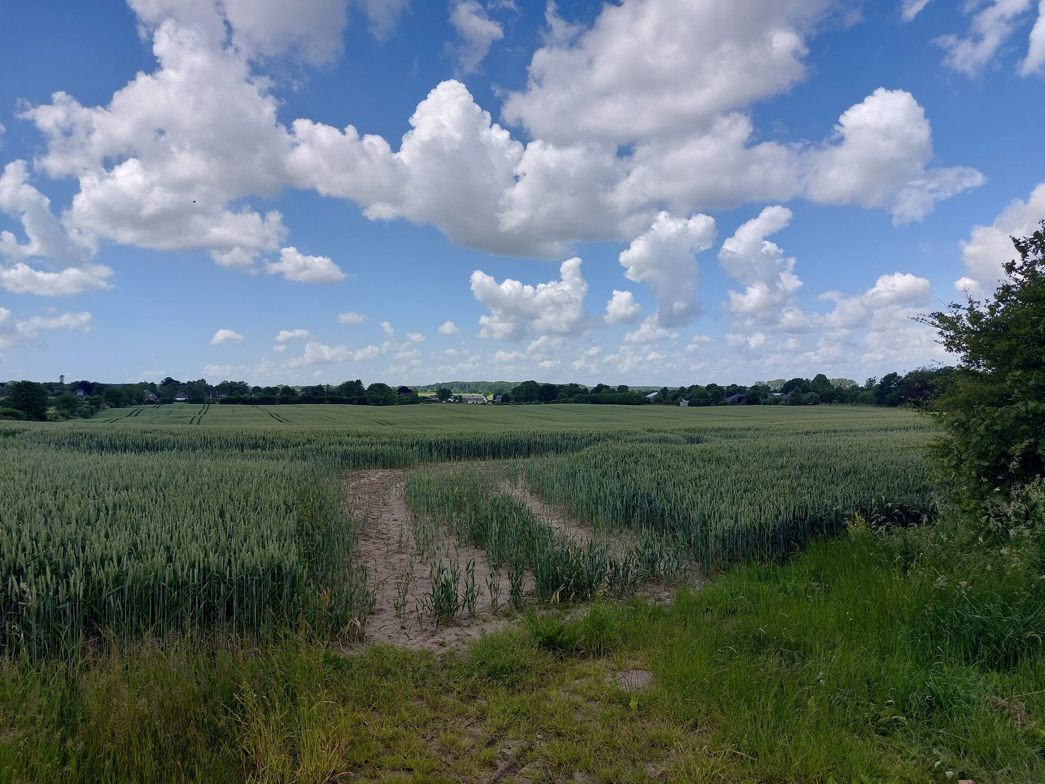 Blick über Mittelangeln