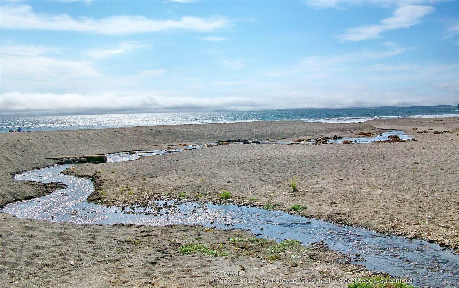 Stream flowing across a sandy beach towards the ocean under a partly cloudy sky. - Stewart Trail Long Loop
