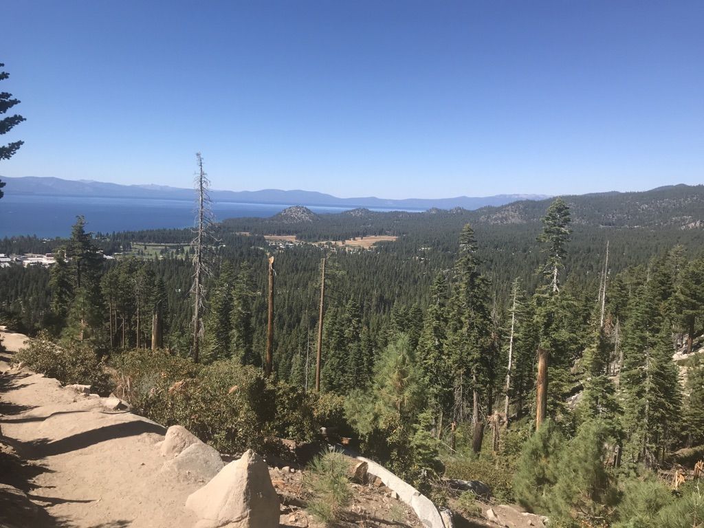 Panoramic view of a large lake, dense forest, and distant mountains under clear blue sky. - Star Lake and Tahoe Rim Trail Loop