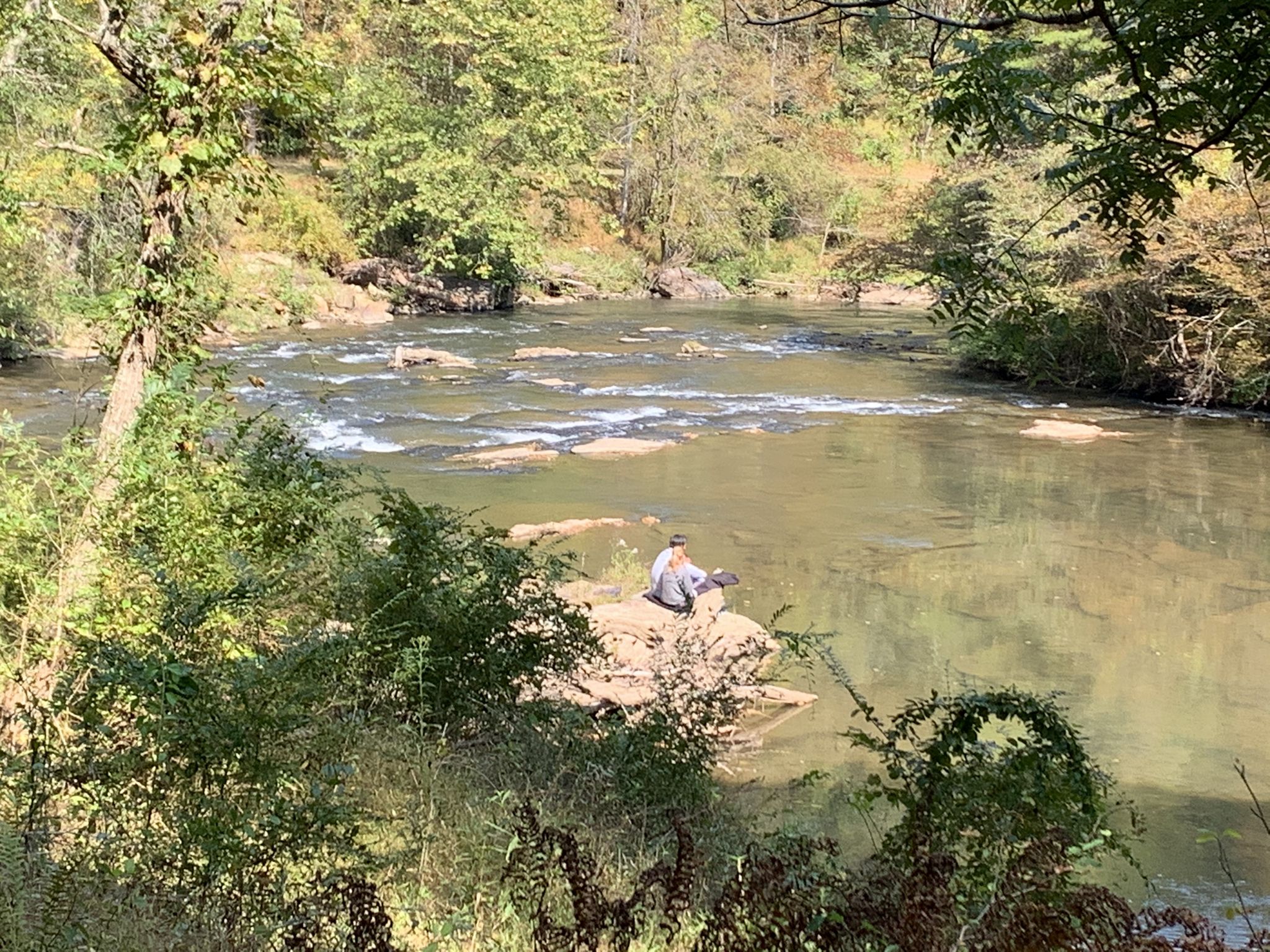Person sitting on a rock in a sunny river surrounded by green trees. - New River Trail: Gambetta to Fries Junction