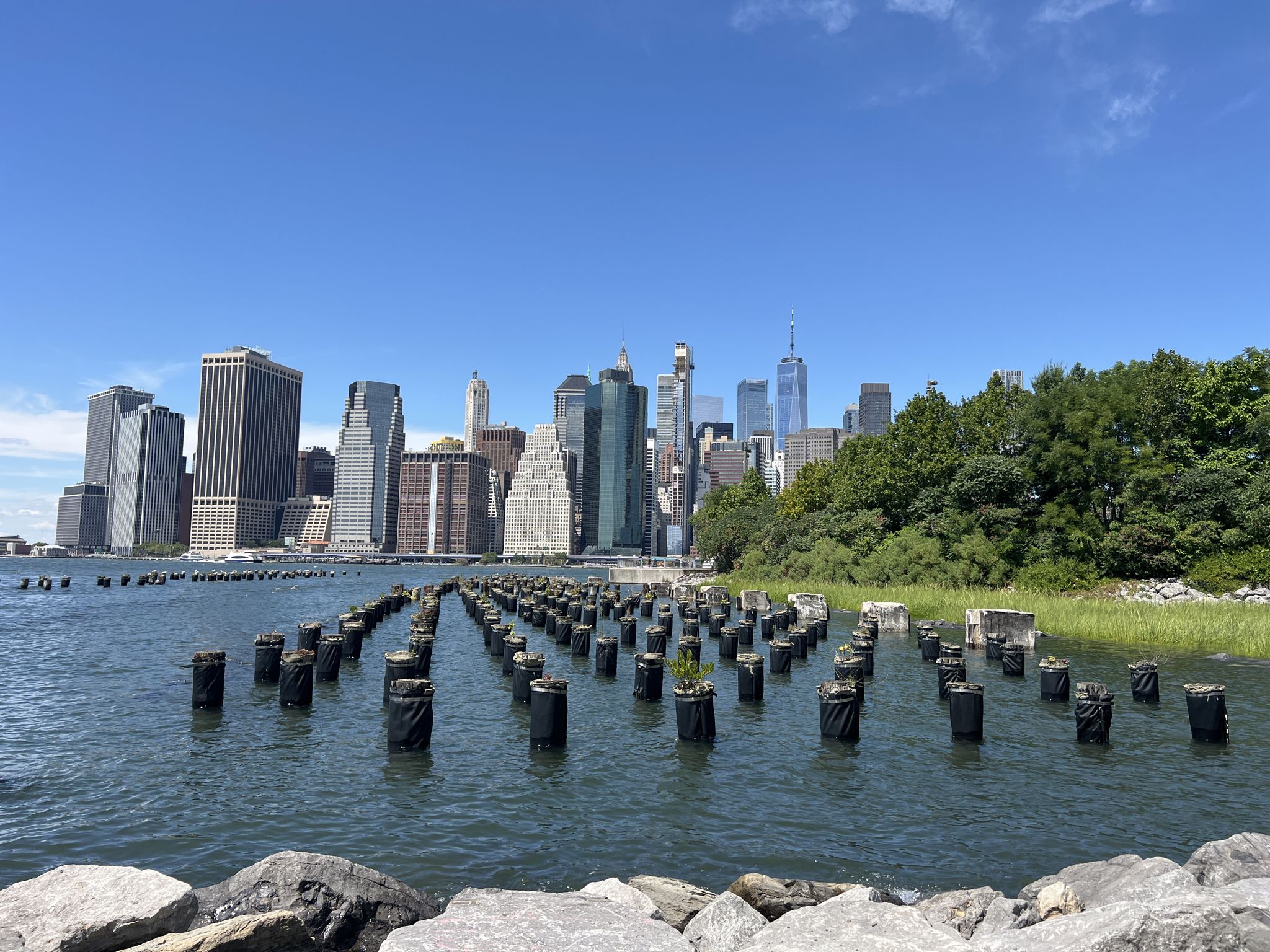 City skyline across water with many old pier pilings and rocks. - Coney Island loop