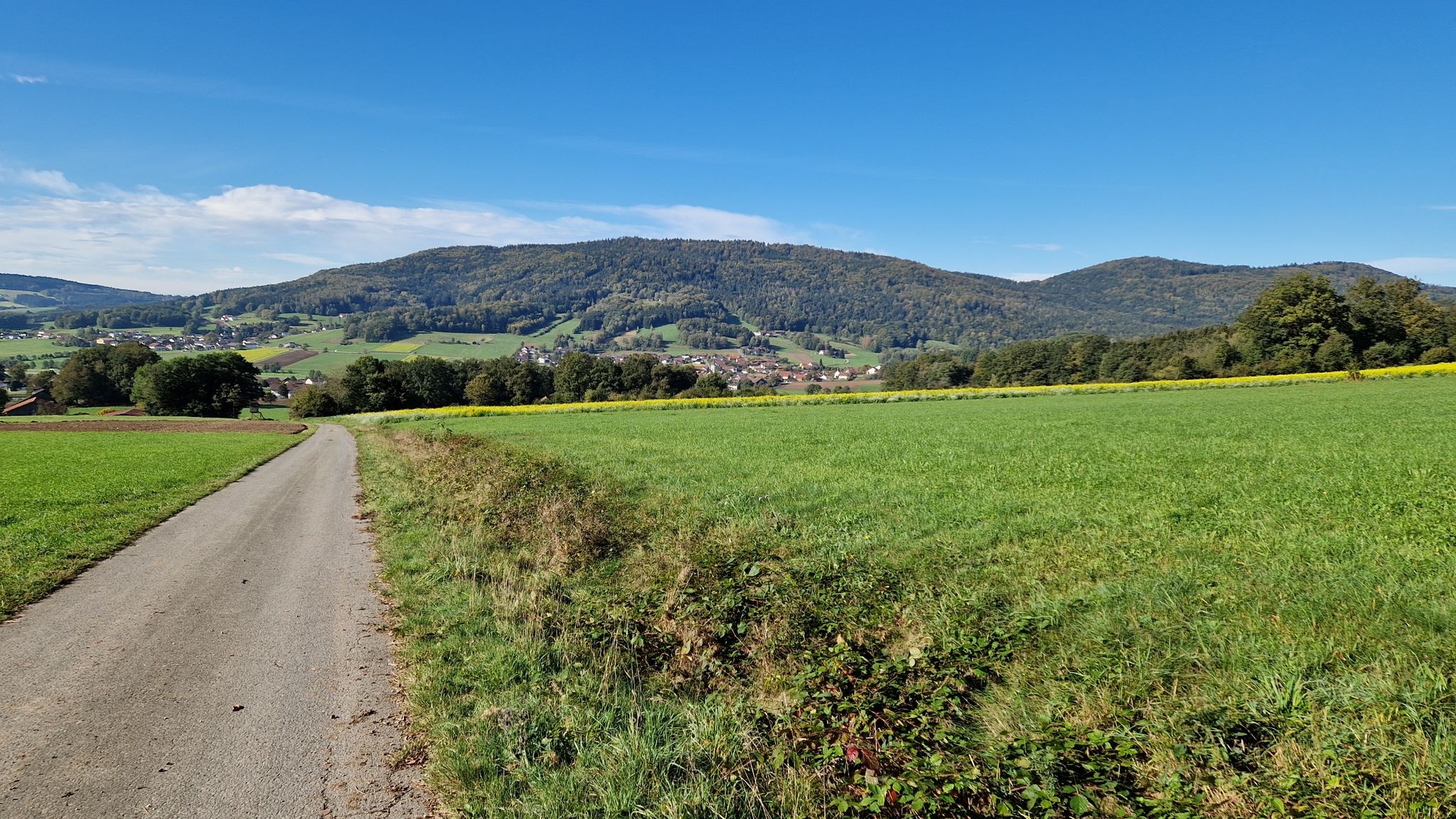 Blick zum "Arberblick"